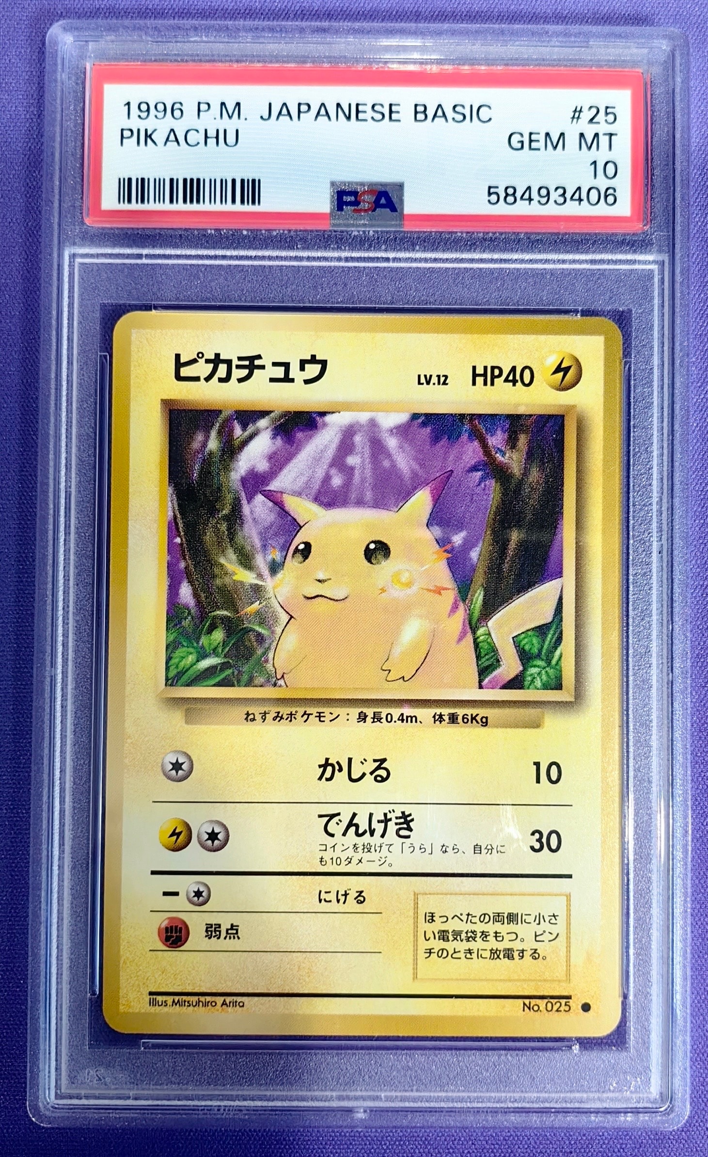 ピカチュウ ● : 旧裏 [PMCG1-2](拡張パック「ポケットモンスター カードゲーム」再販)