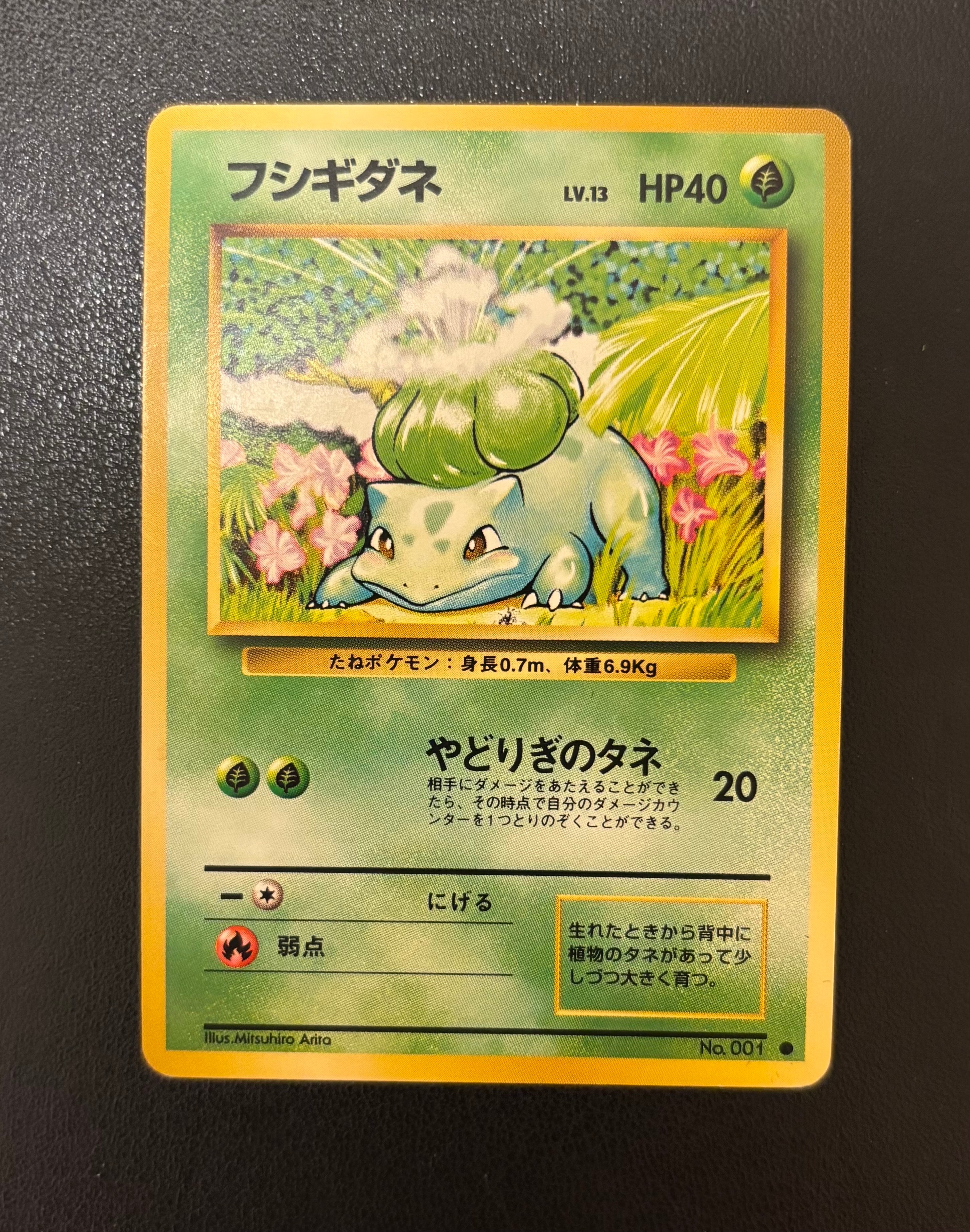フシギダネ ● : 旧裏 [PMCG1-2](拡張パック「ポケットモンスター カードゲーム」再販)