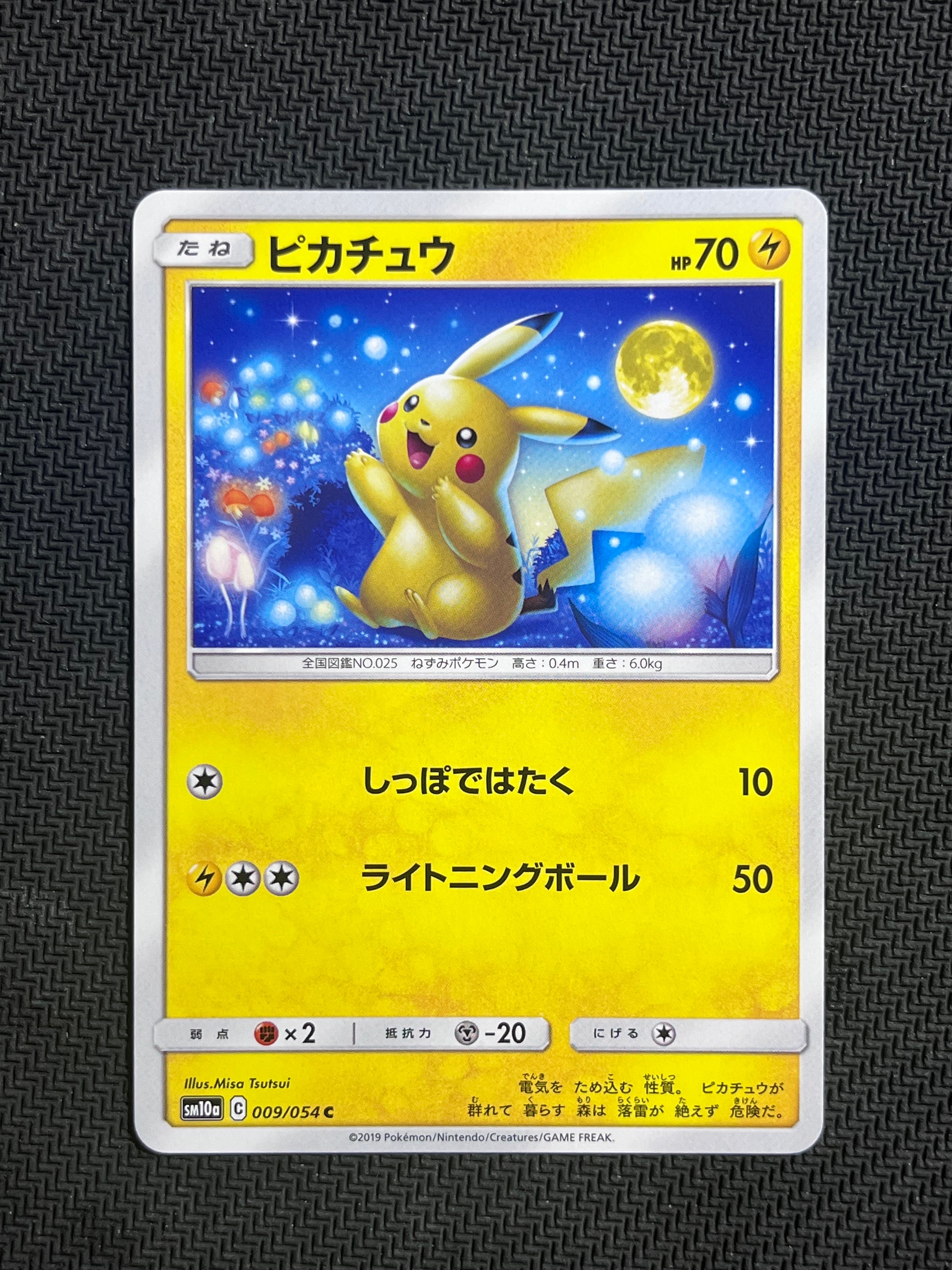 ポケパークのピカチュウ [PCG 004/009](ポケパークプレミアムファイル