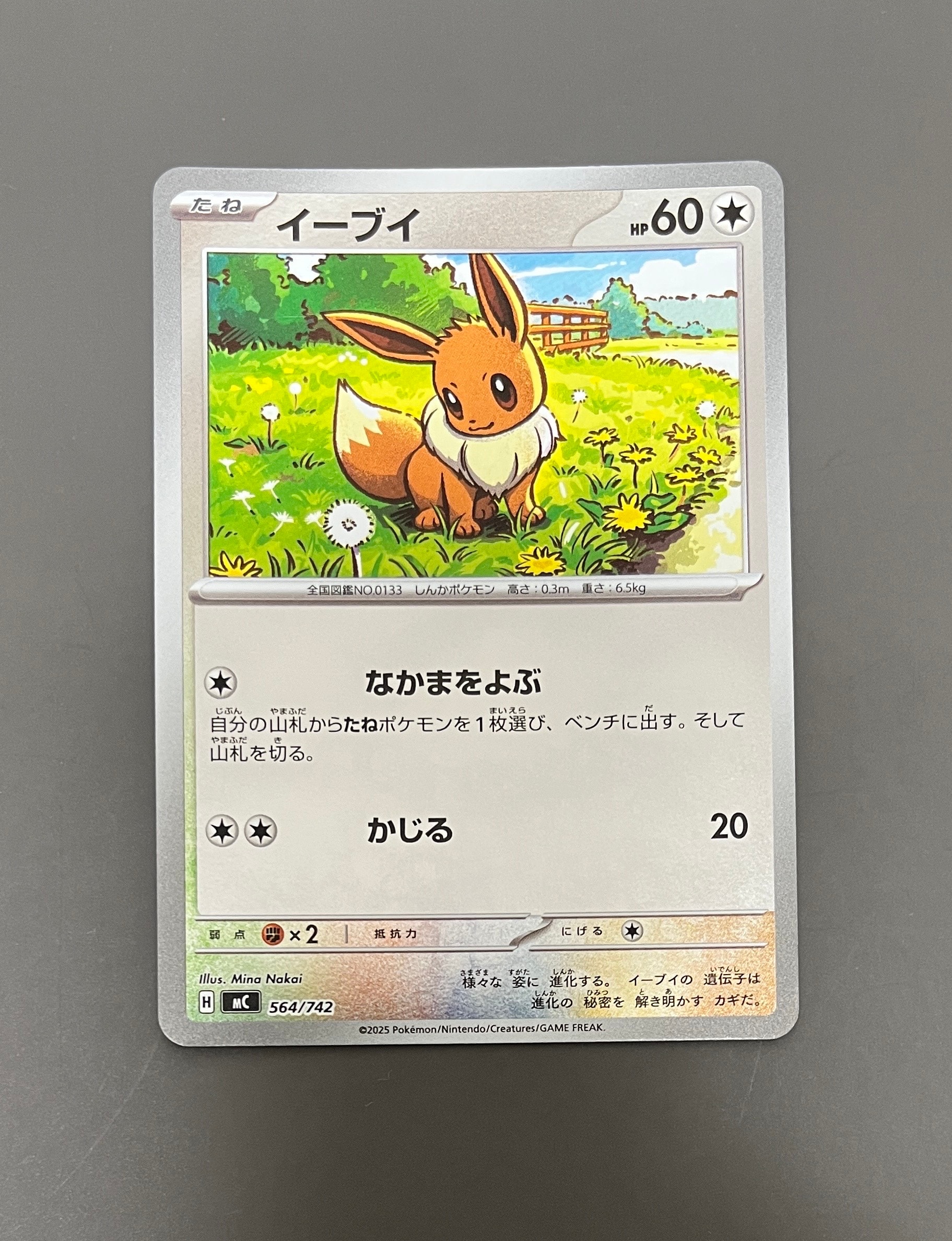 PSA10】イーブイ :ミラー [MC 564/742](スタートデッキ100「バトル