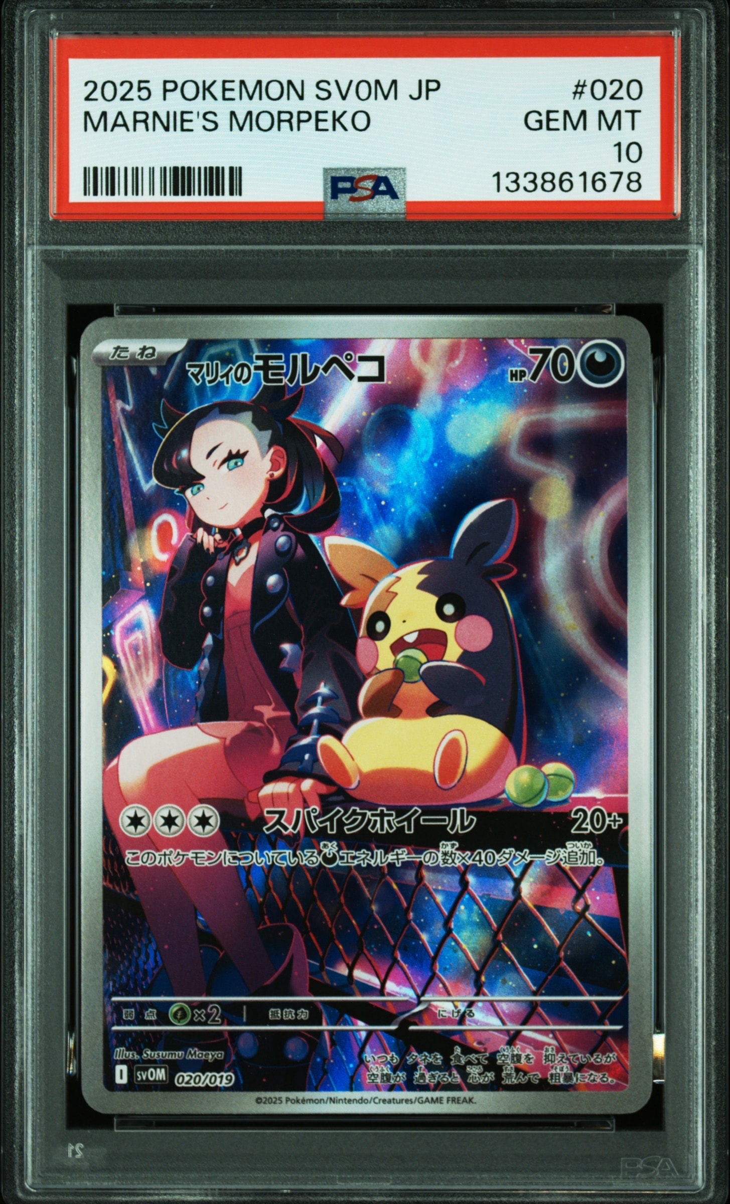 マリィのモルペコ [SVOM 020/019](スターターセットex「マリィの