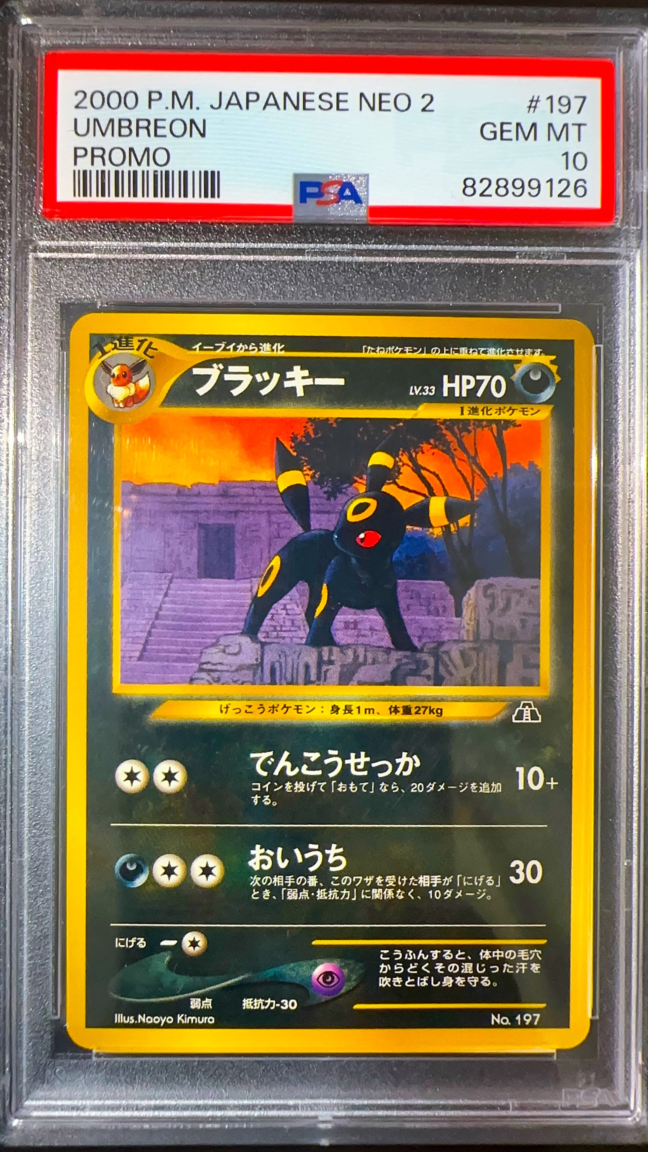 ブラッキープレミアムファイル2: 旧裏[neoP2 No.197](プレミアムファイル2)