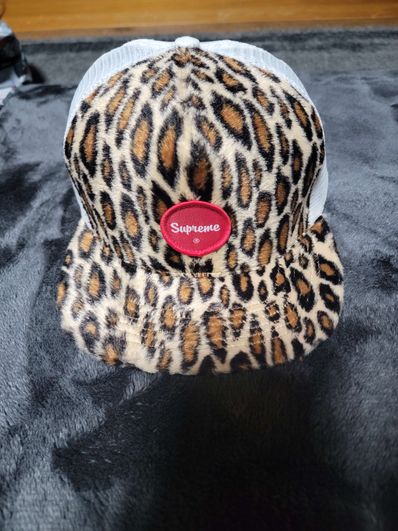 メッシュキャップ