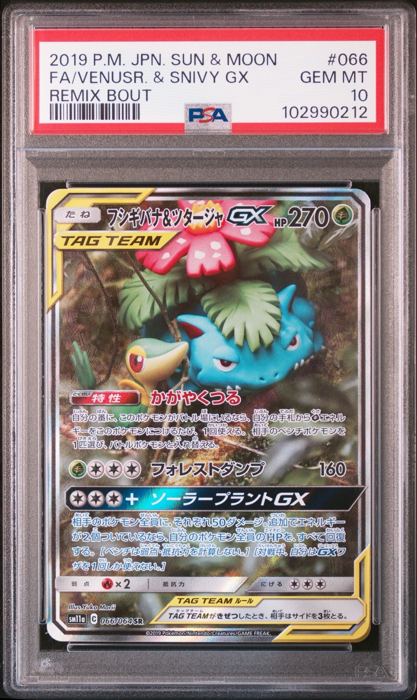 フシギバナ&ツタージャGX SR: SA[SM11a 066/064](強化拡張パック「リミックスバウト」)