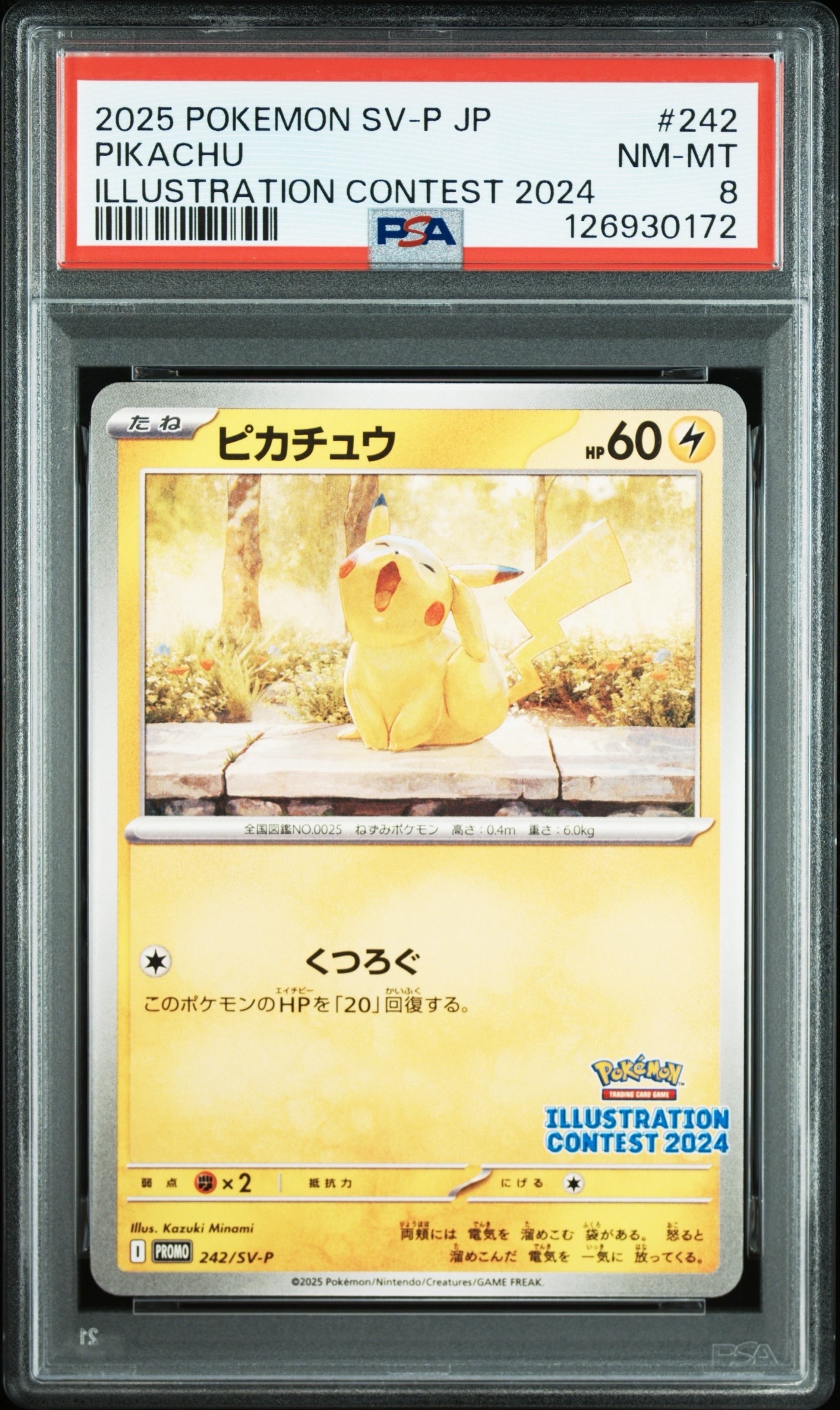 ピカチュウ [SV-P 242](プロモカードパック「イラストレーションコンテスト 2024 受賞作品プロモカード化記念キャンペーン」)