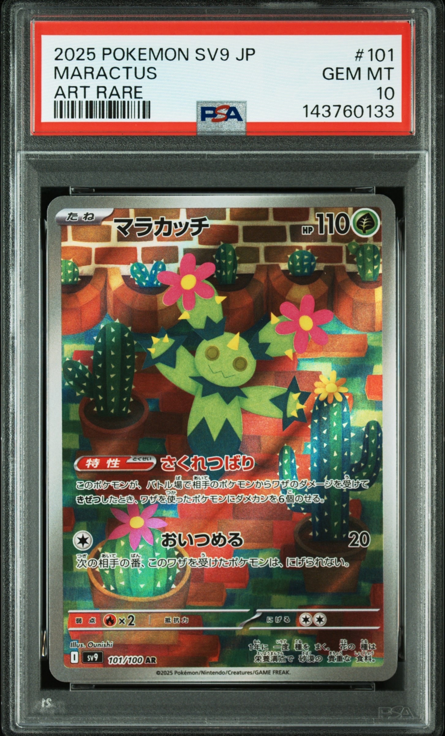 PSA10】マラカッチ AR [SV9 101/100](拡張パック「バトルパートナーズ