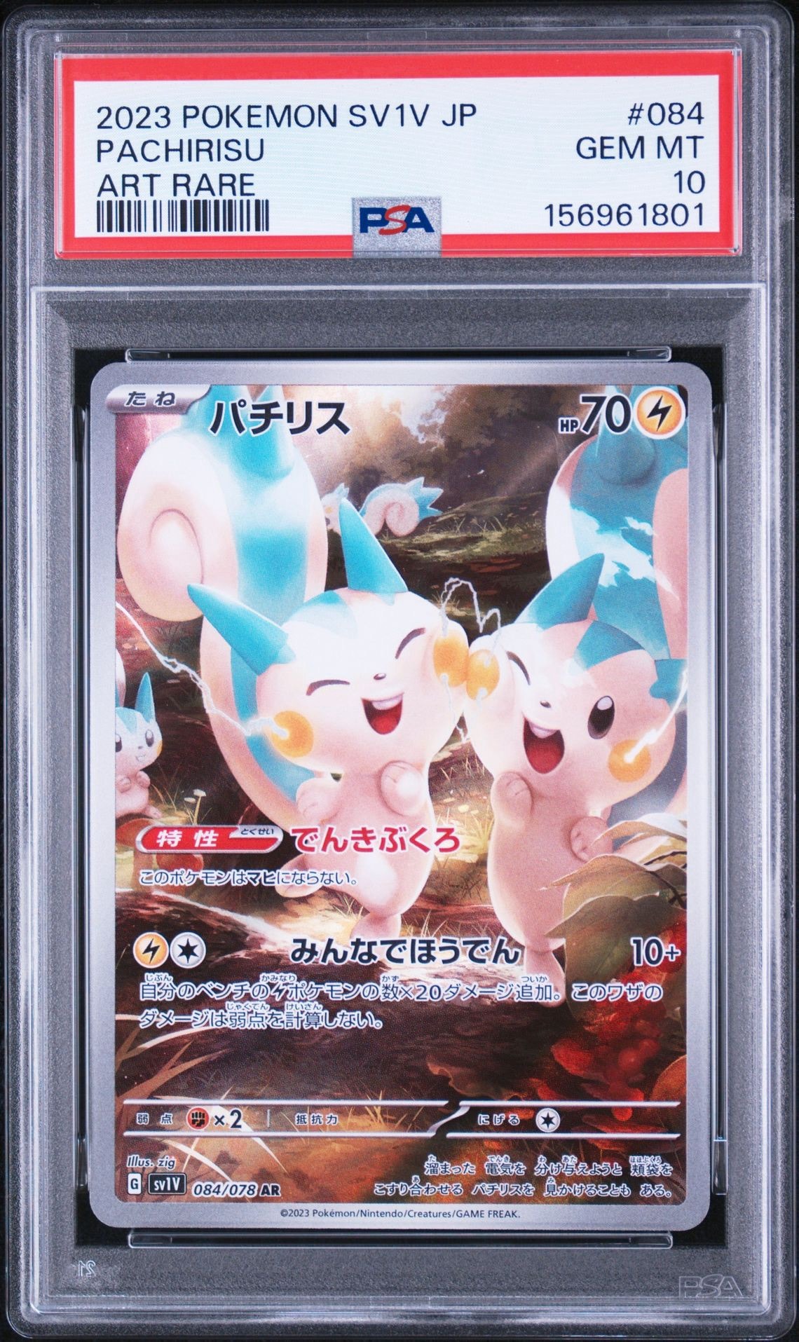 Pachirisu