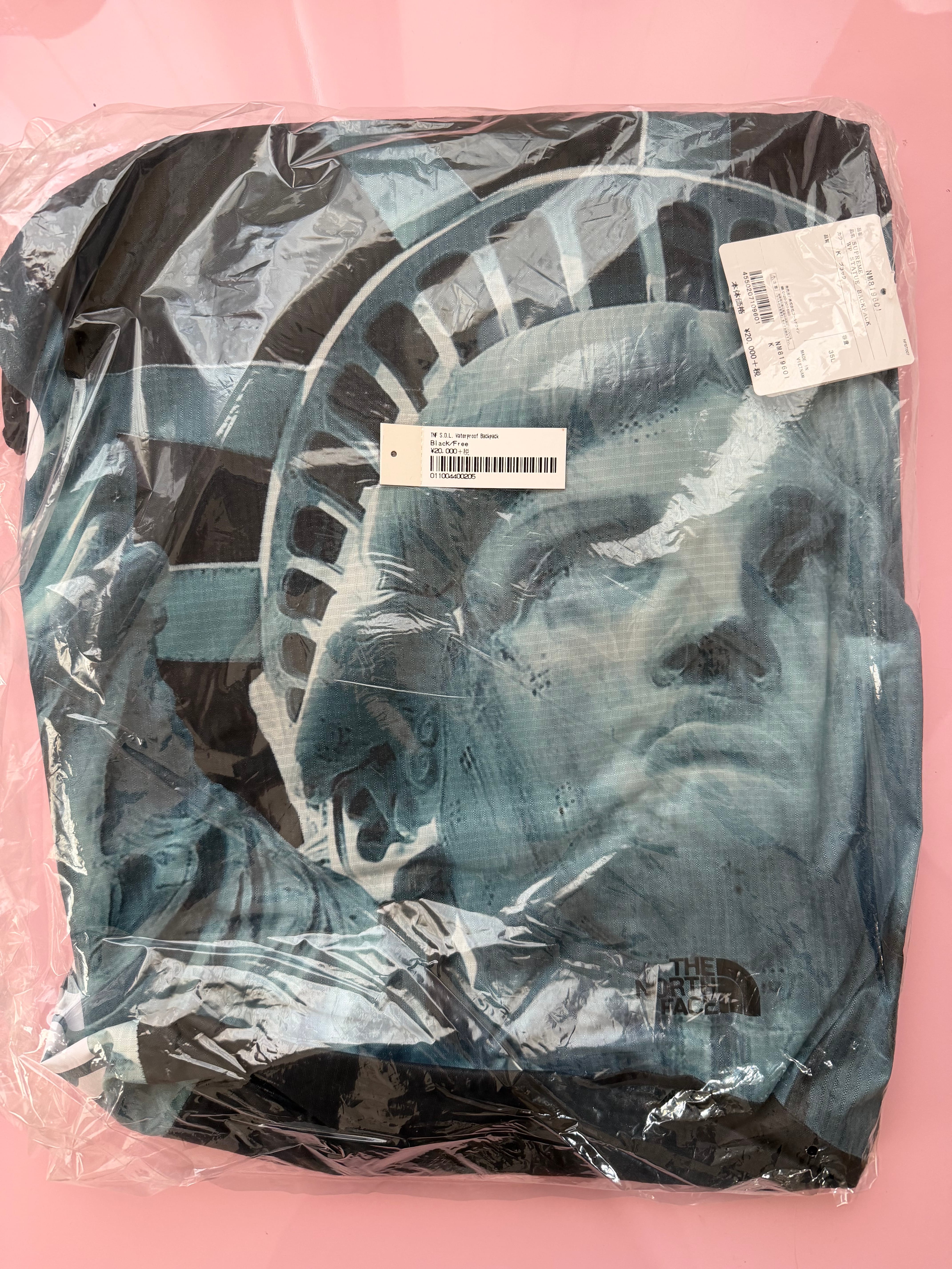 Supreme x The North Face Statue of Liberty Waterproof Backpack "Black"