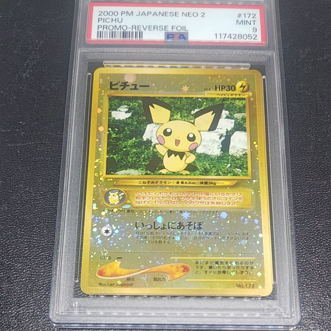 ピチュープレミアムファイル2: 旧裏[neoP2 No.172](プレミアムファイル2)