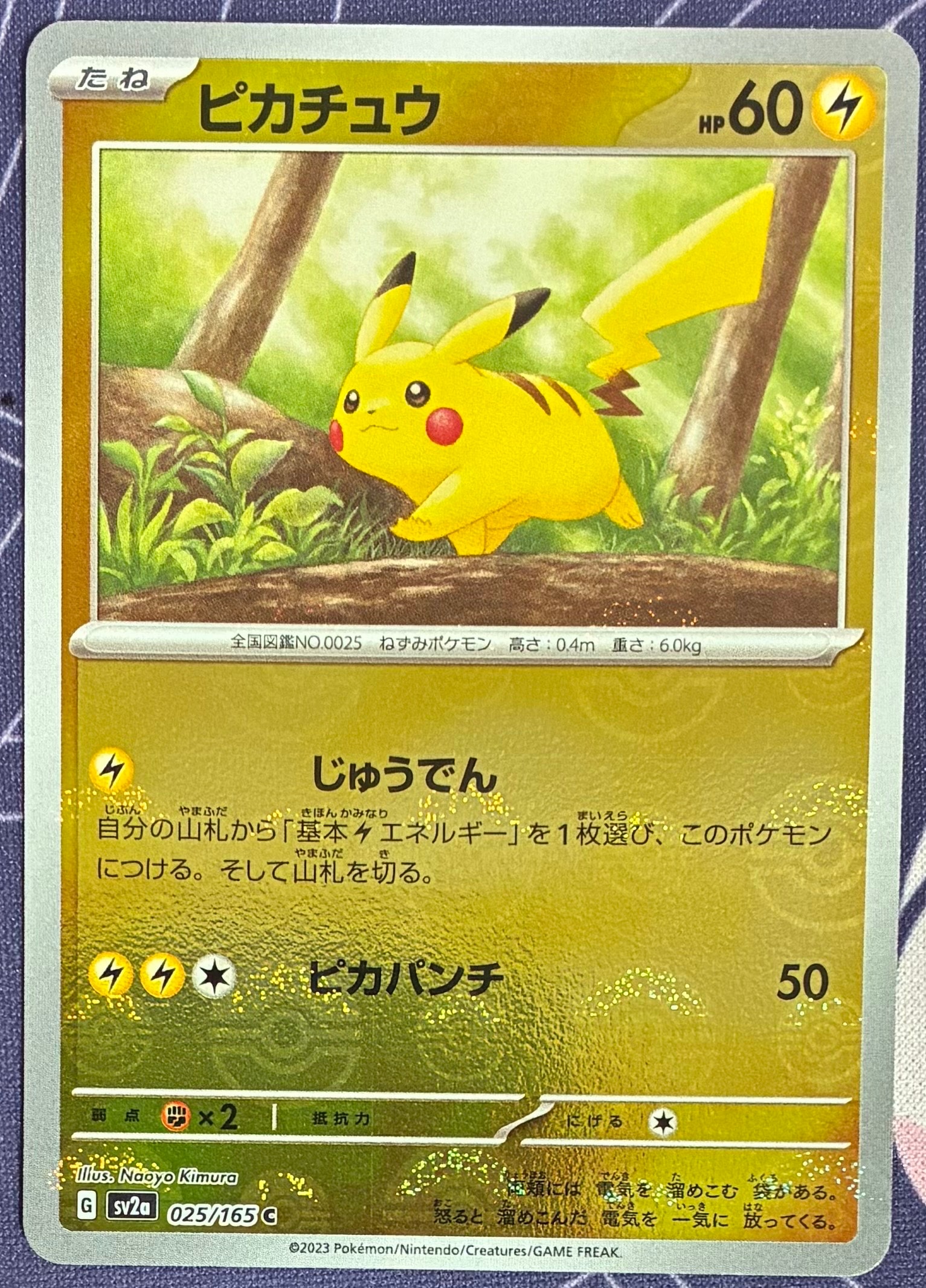 PSA10】コイキング C: マスターボールミラー[SV2a 129/165](強化拡張