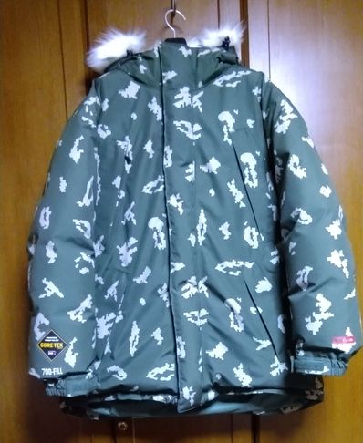 Supreme GORE-TEX 700-Fill Down Parka "Olive Russian Camo"
