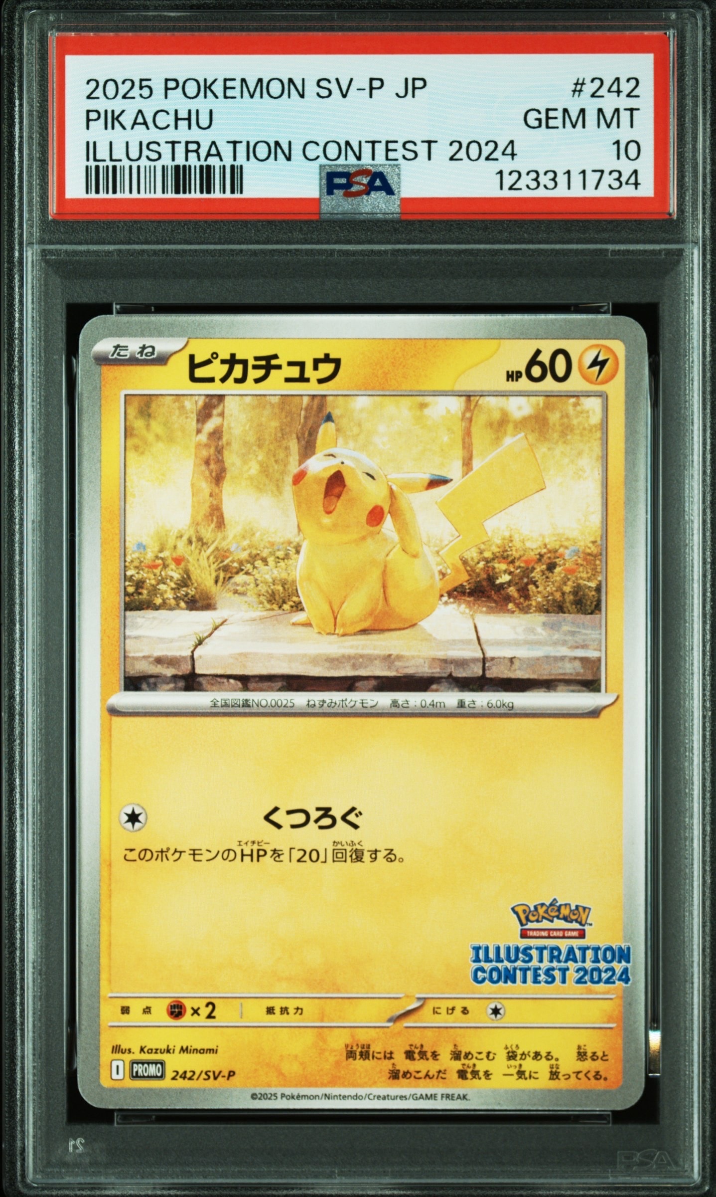 ピカチュウ [SV-P 242](プロモカードパック「イラストレーションコンテスト 2024 受賞作品プロモカード化記念キャンペーン」)