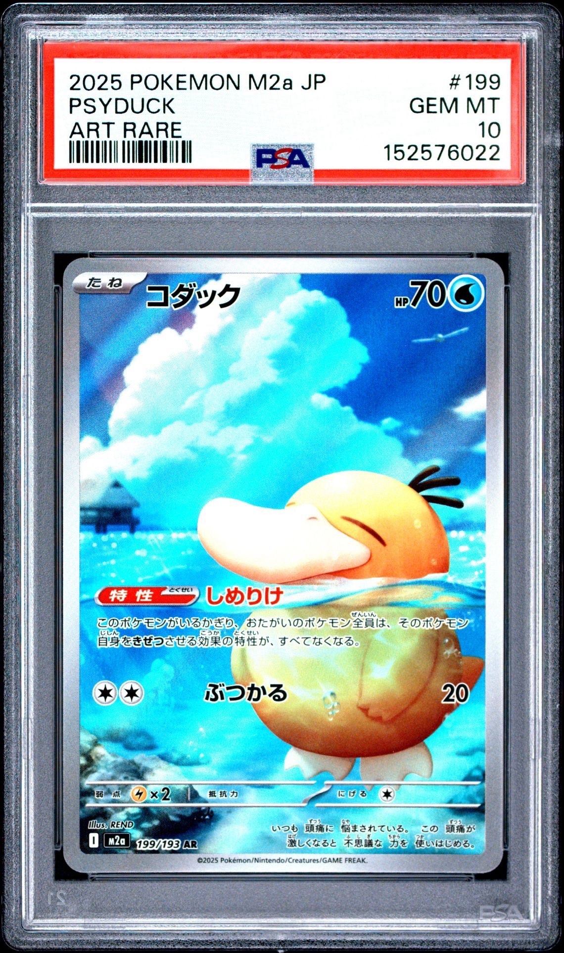コダック AR [M2a 199/193](ハイクラスパック「MEGAドリームex」)