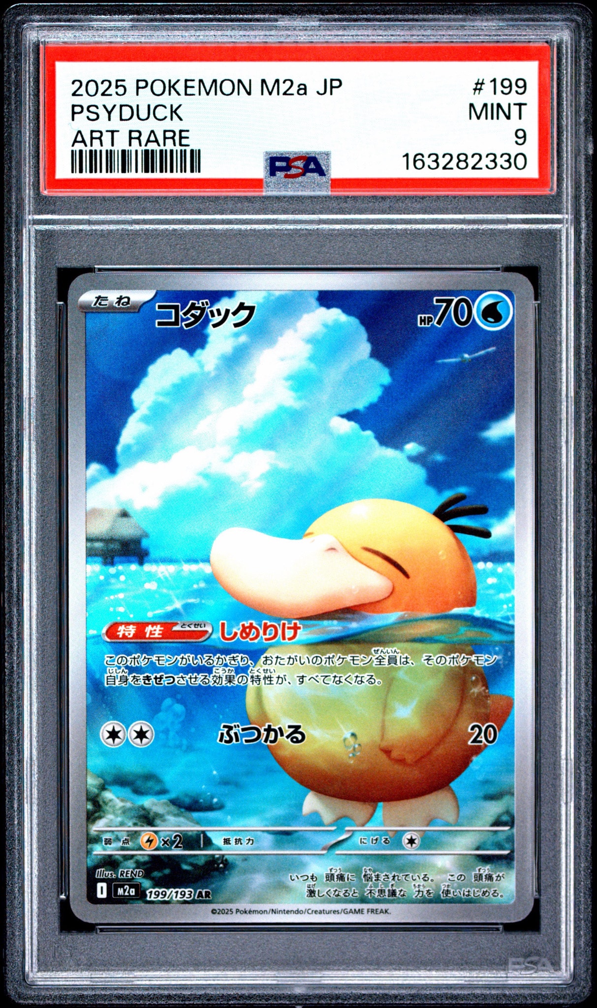 コダック AR [M2a 199/193](ハイクラスパック「MEGAドリームex」)