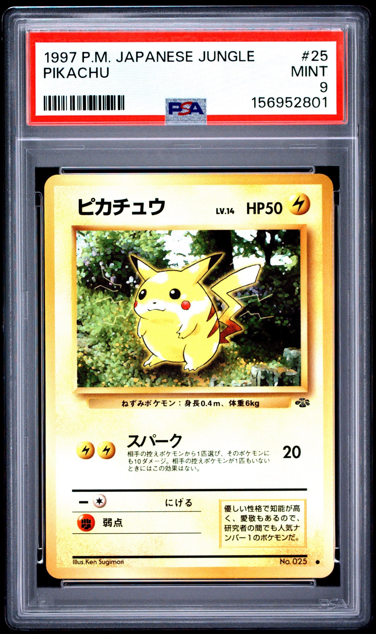 ぺ*ー様 【PSA4】 ピカチュウ 旧裏 ポケモンカード ポケモンジャングル PSA10】ピカチュウ ○ : 旧裏 [PMCG2 No.025](拡張パック「ポケモン