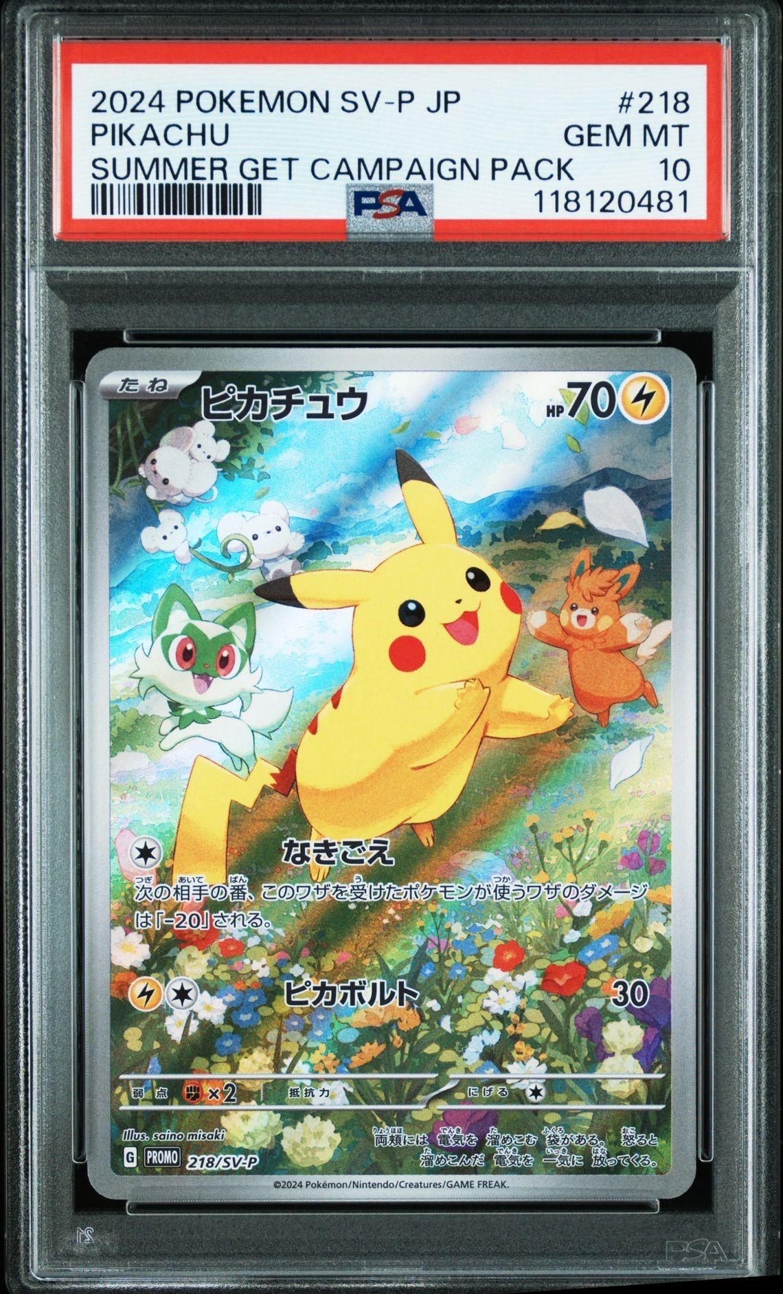 ピカチュウ P [SV-P 218](プロモカードパック「ポケカの夏がキタ!プロモカードGetキャンペーン!」)