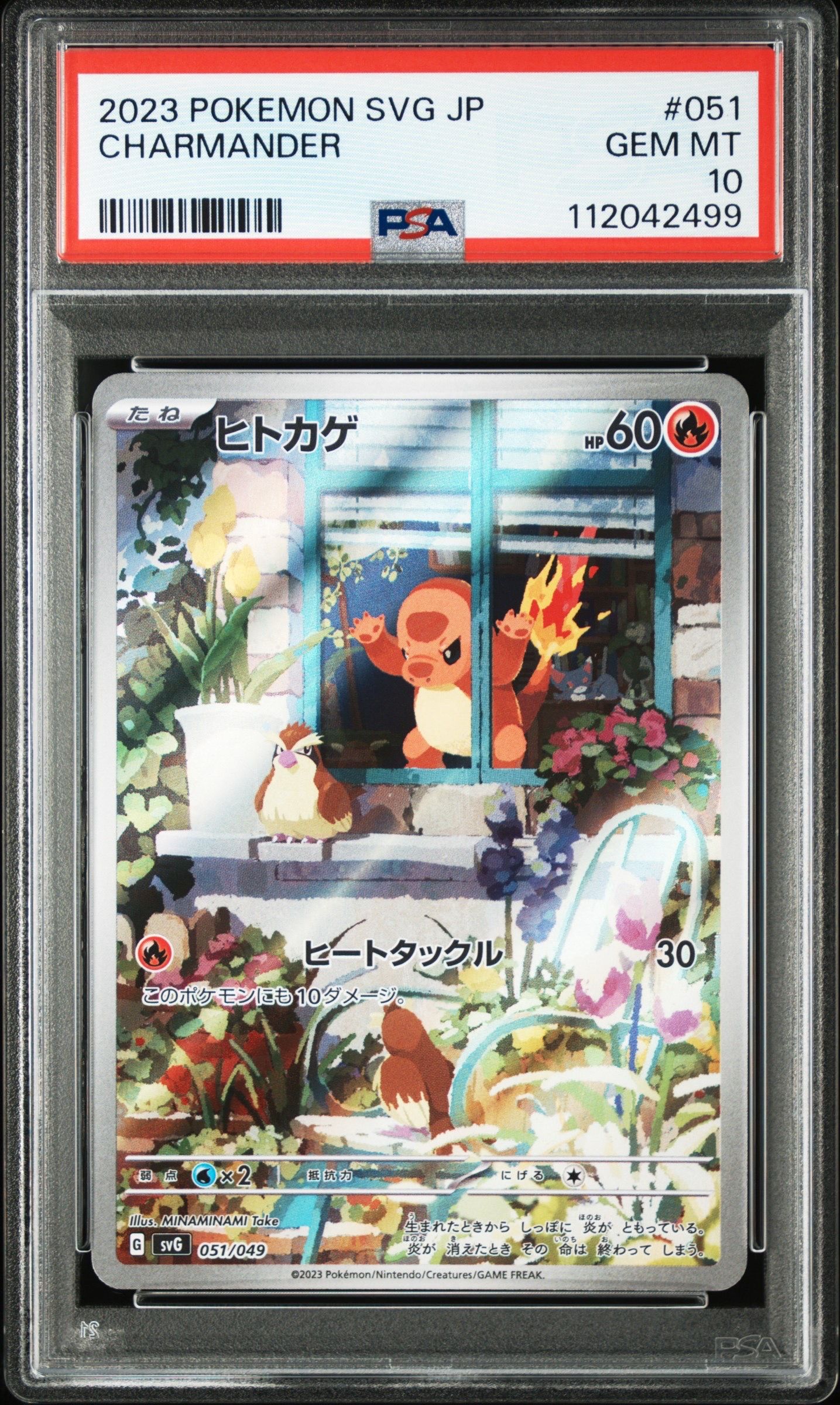 ヒトカゲ :フルイラスト [SVG 051/049](スペシャルデッキセットex「フシギバナ・リザードン・カメックス」)