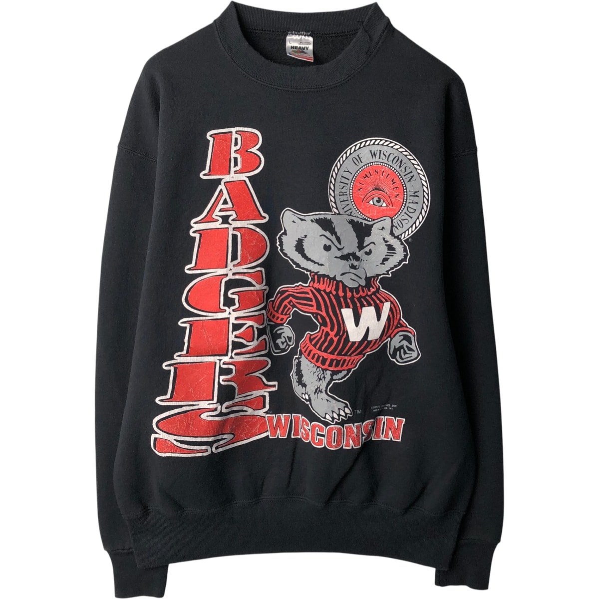 古着 90年代 フルーツオブザルーム FRUIT OF THE LOOM WISCONSIN ウィスコンシン大学 カレッジ キャラクタースウェットシャツ トレーナー USA製 メンズL相当 ヴィンテージ/eaa593118