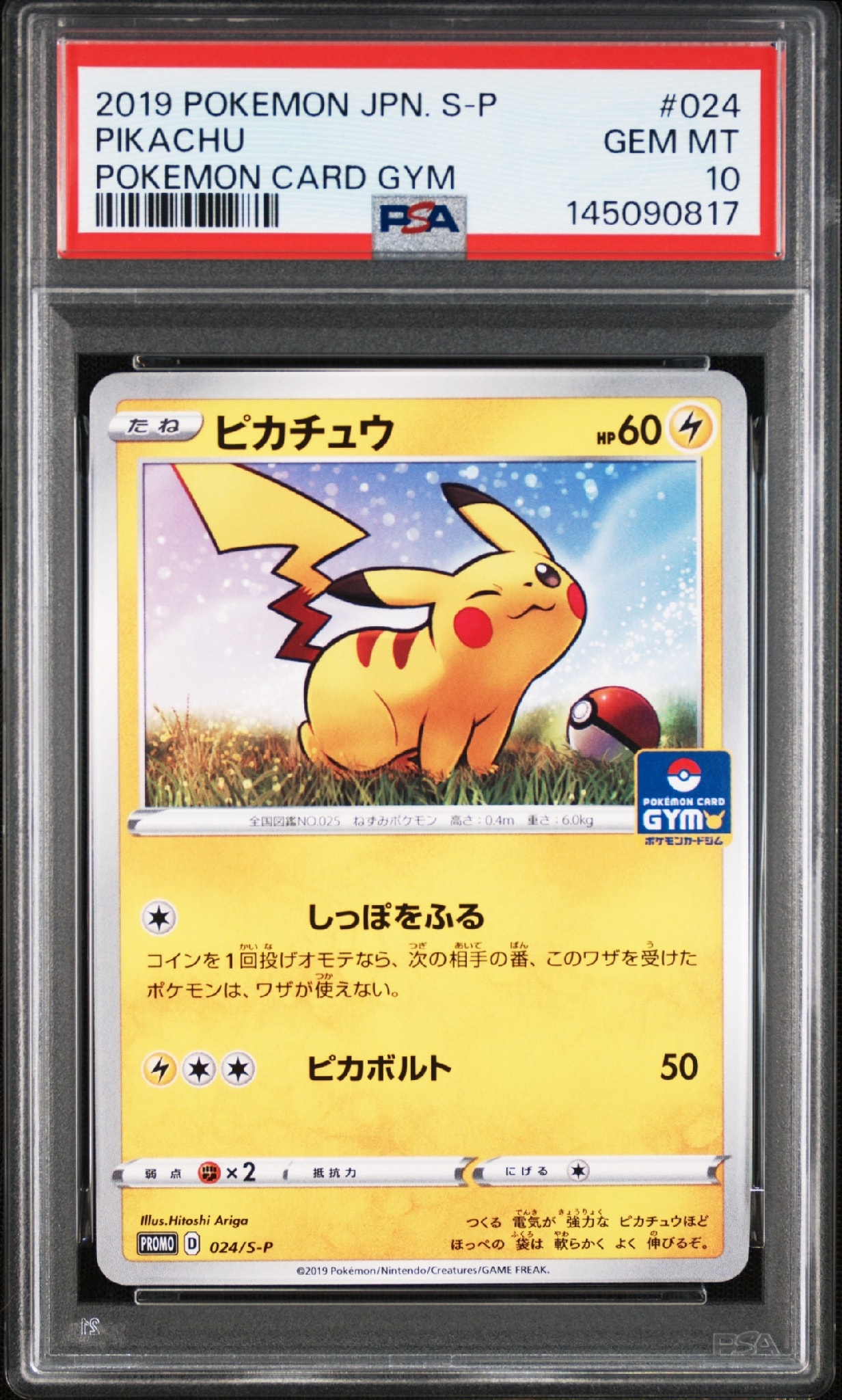 ピカチュウ: プロモ P [S-P 024](ポケモンカードゲーム ソード&シールド 「プロモカードパック 第1弾」)