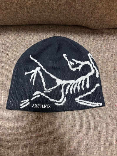 ARC'TERYX Bird Head Toque "Orca"