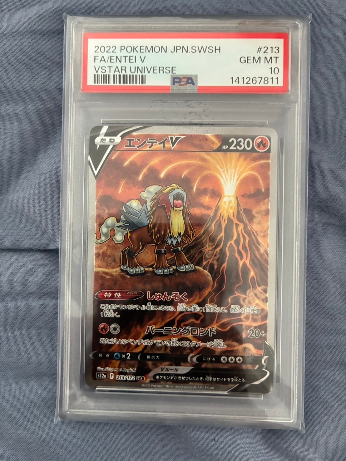 PSA10】エンテイV SAR[s12a 213/172](ハイクラスパック「VSTAR