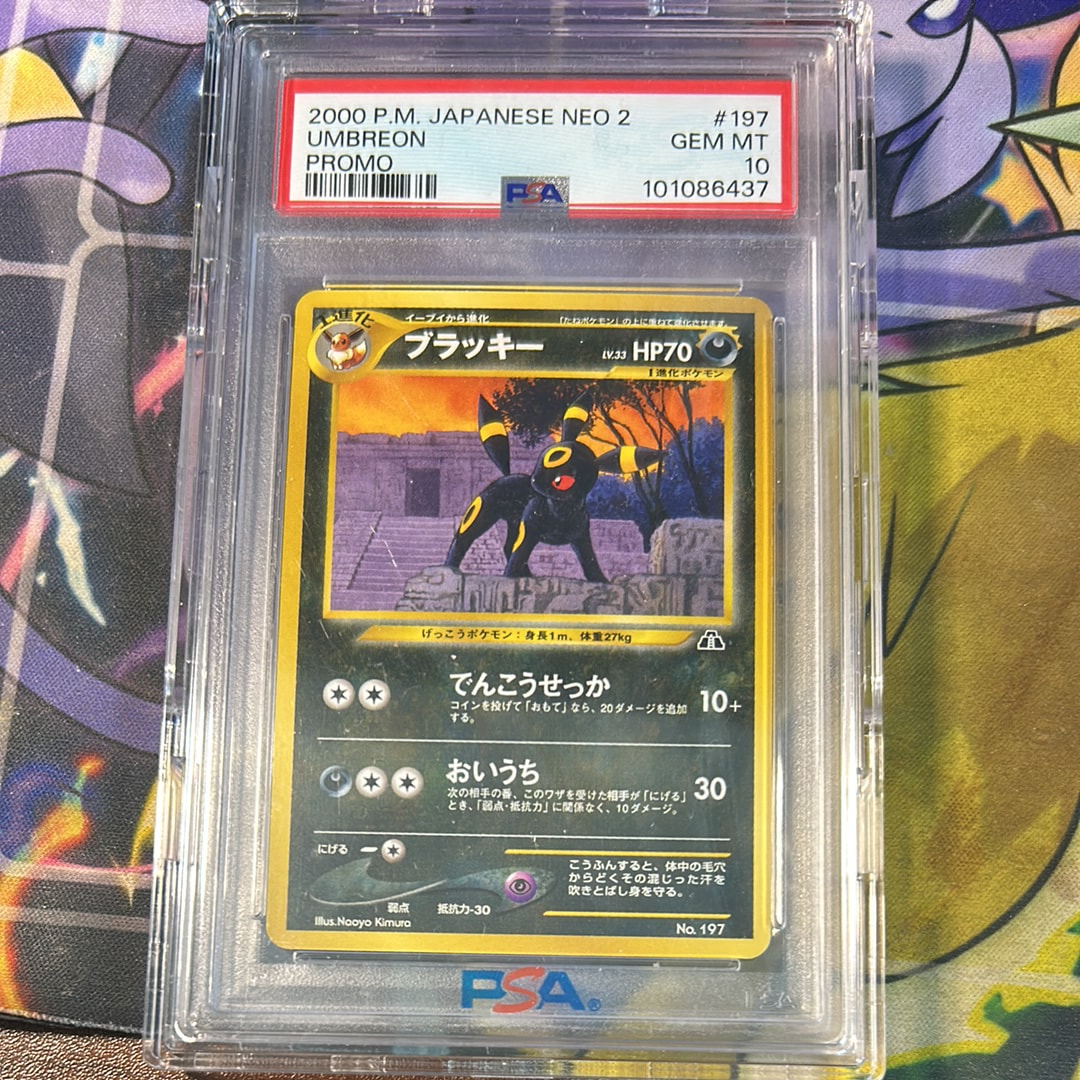 PSA10】ブラッキープレミアムファイル2: 旧裏[neoP2 No.197