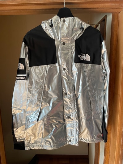 Supreme x The North Face Metallic Mountain Parka "Silver"