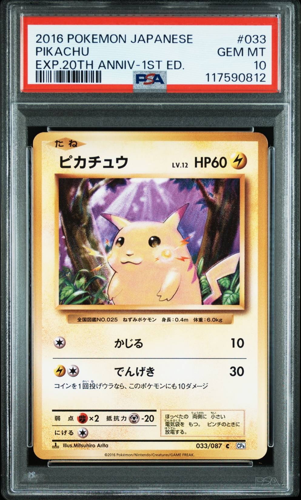 ピカチュウ C :1ED [CP6 033/087](コンセプトパック「ポケットモンスターカードゲーム 拡張パック 20th Anniversary」)