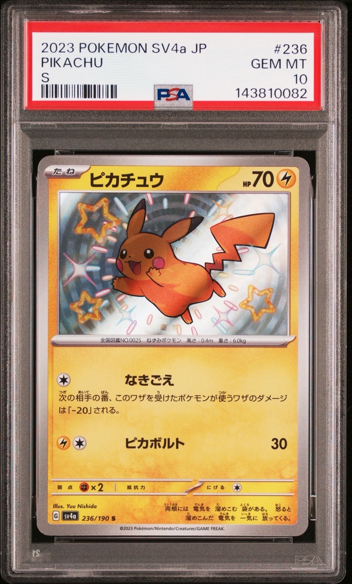 オールナイトパーティ: プロモ[XY-P 139/XY-P](プロモーションカード