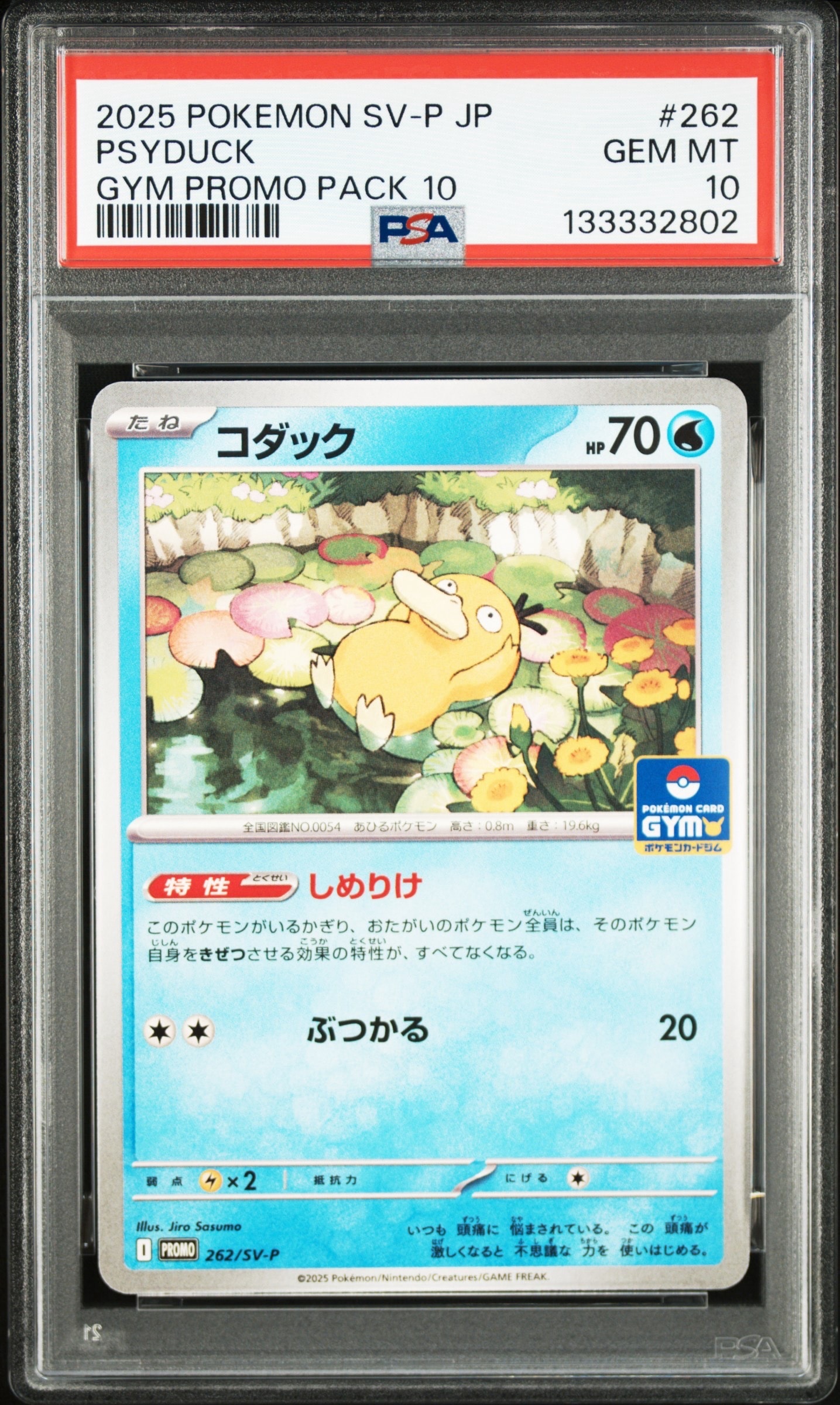 コダック P [SV-P 262](プロモカードパック「第10弾」)の新品/中古