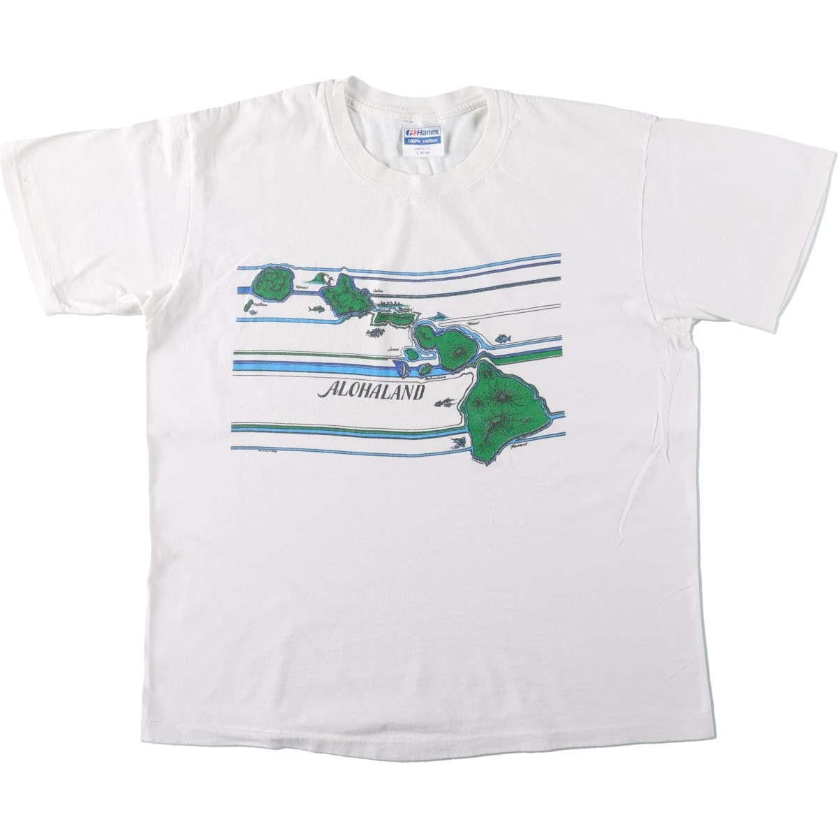 古着 80年代 ヘインズ Hanes スーベニアTシャツ USA製 メンズL相当 ヴィンテージ/eaa626688