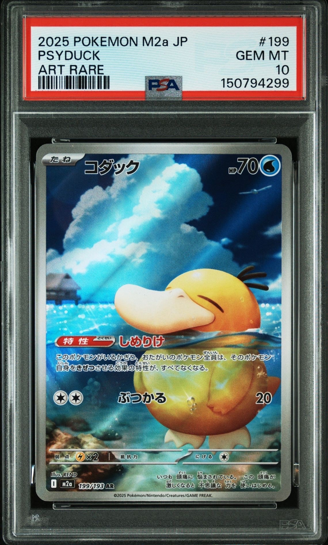 コダック AR [M2a 199/193](ハイクラスパック「MEGAドリームex」)