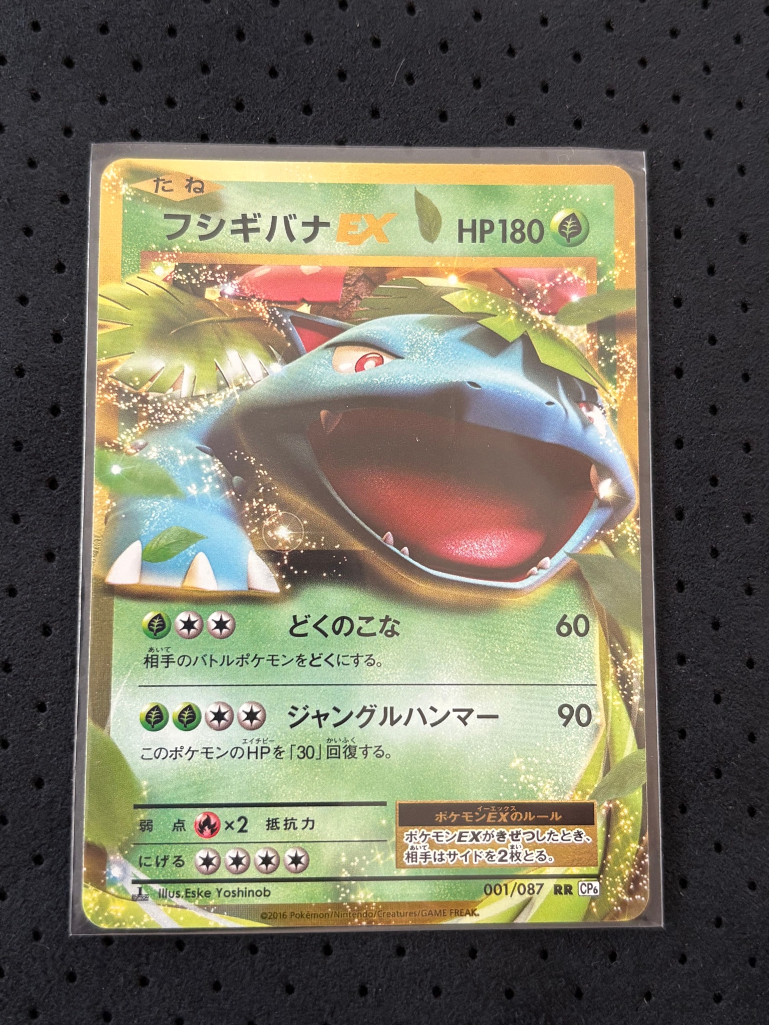 フシギバナEX RR :1ED [CP6 001/087](コンセプトパック