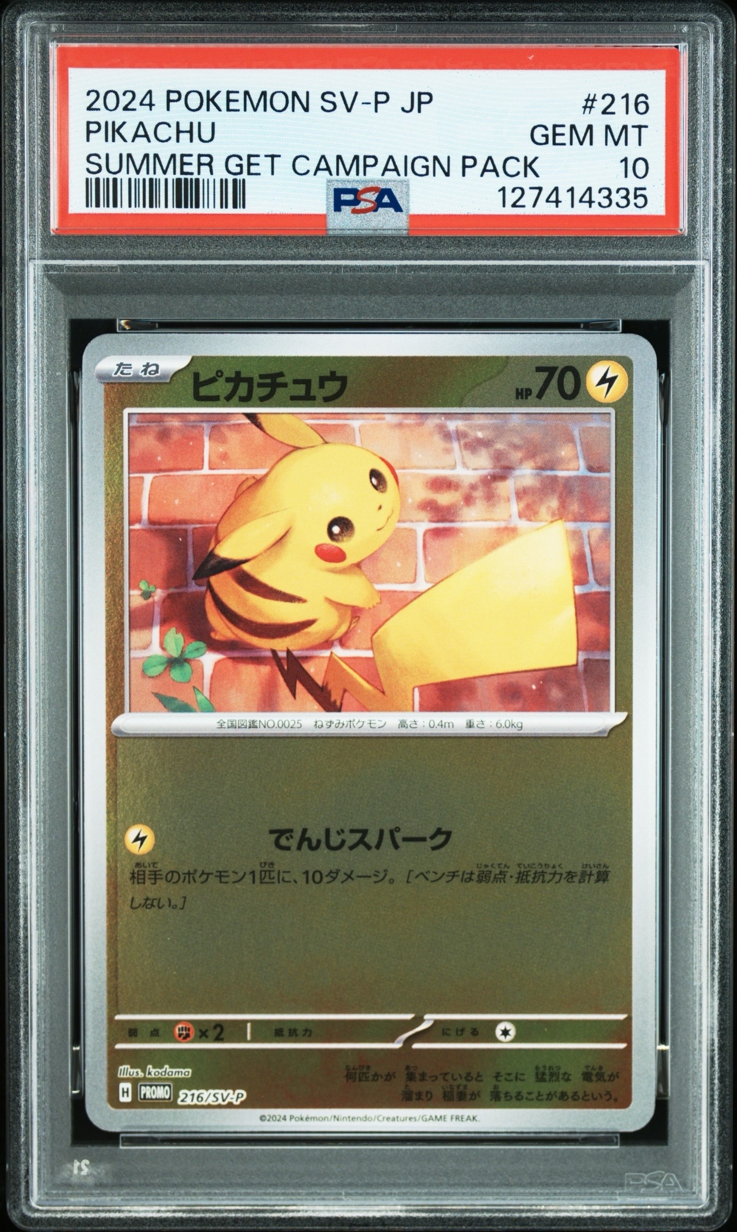 ピカチュウ P [SV-P 216](プロモカードパック「ポケカの夏がキタ!プロモカードGetキャンペーン!」)