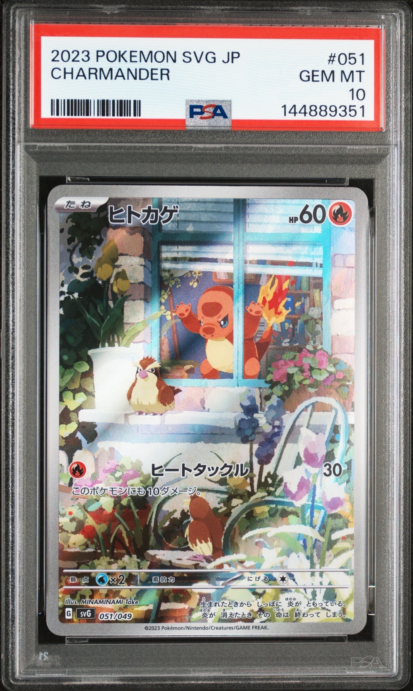 ヒトカゲ :フルイラスト [SVG 051/049](スペシャルデッキセットex「フシギバナ・リザードン・カメックス」)