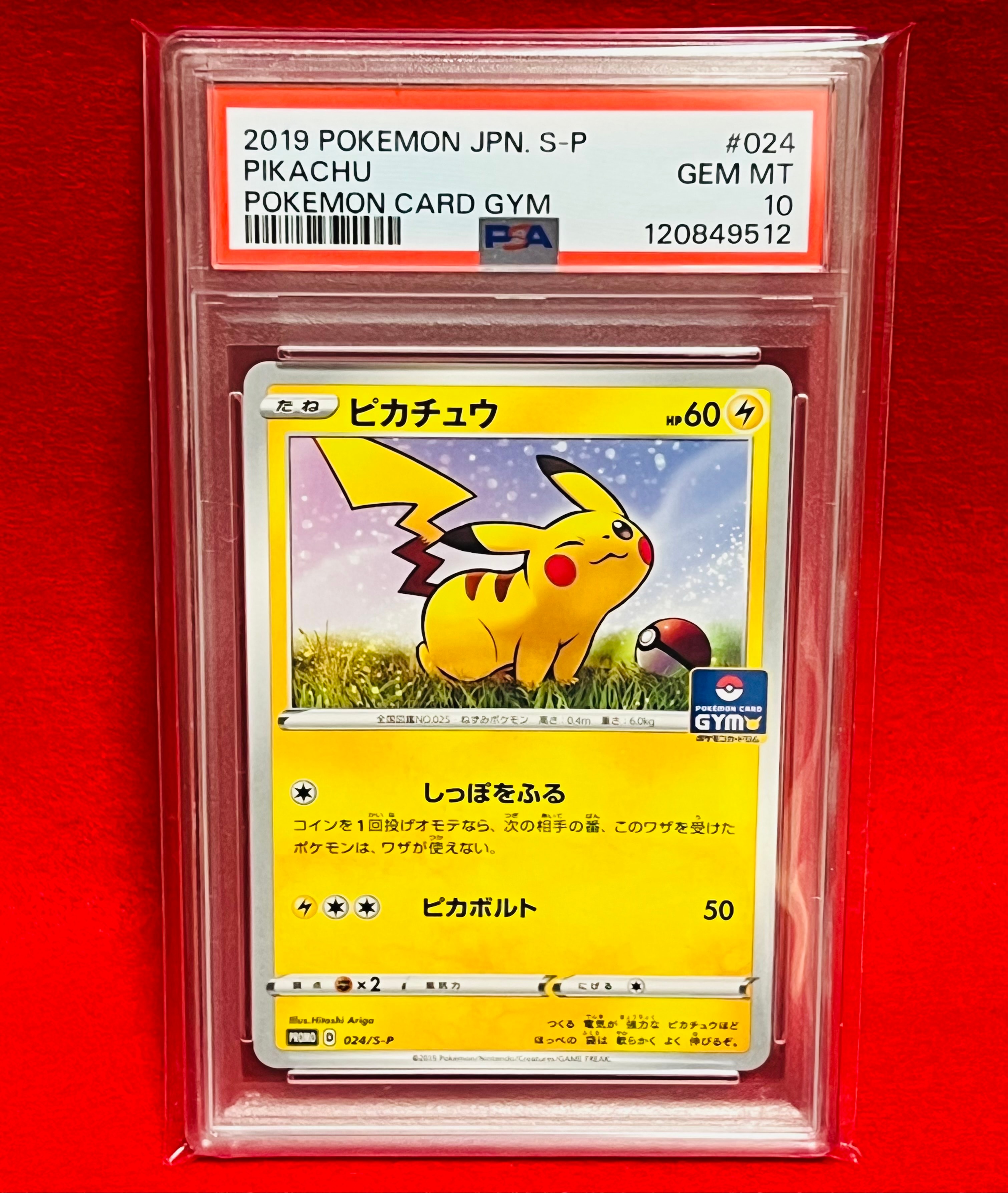 ピカチュウ: プロモ P [S-P 024](ポケモンカードゲーム ソード&シールド 「プロモカードパック 第1弾」)