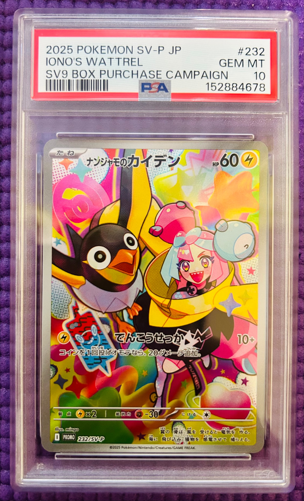 ナンジャモのカイデン P [SV-P 232](プロモーションカード「拡張パック