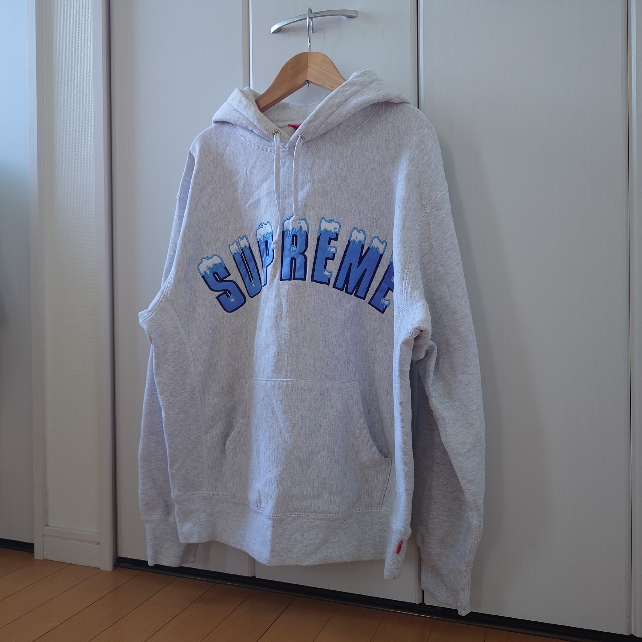 Supreme Icy Arc Hooded Sweatshirt "Ash Grey"
