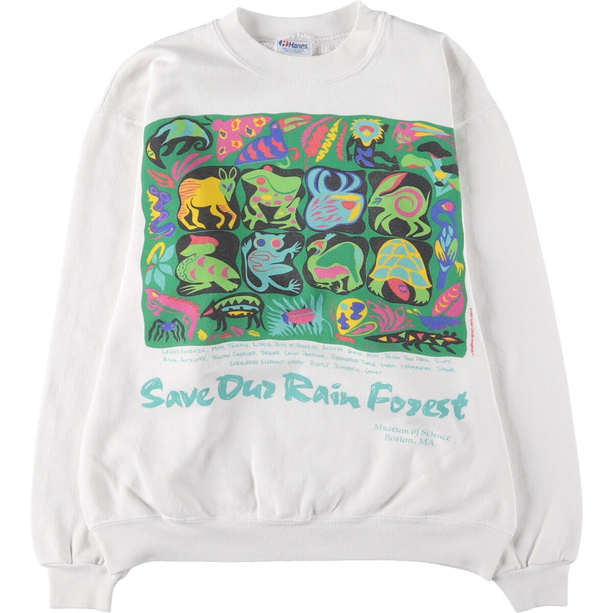 古着 80年代 ヘインズ Hanes 青タグ プリントスウェットシャツ トレーナー USA製 メンズL相当 ヴィンテージ/eaa522962