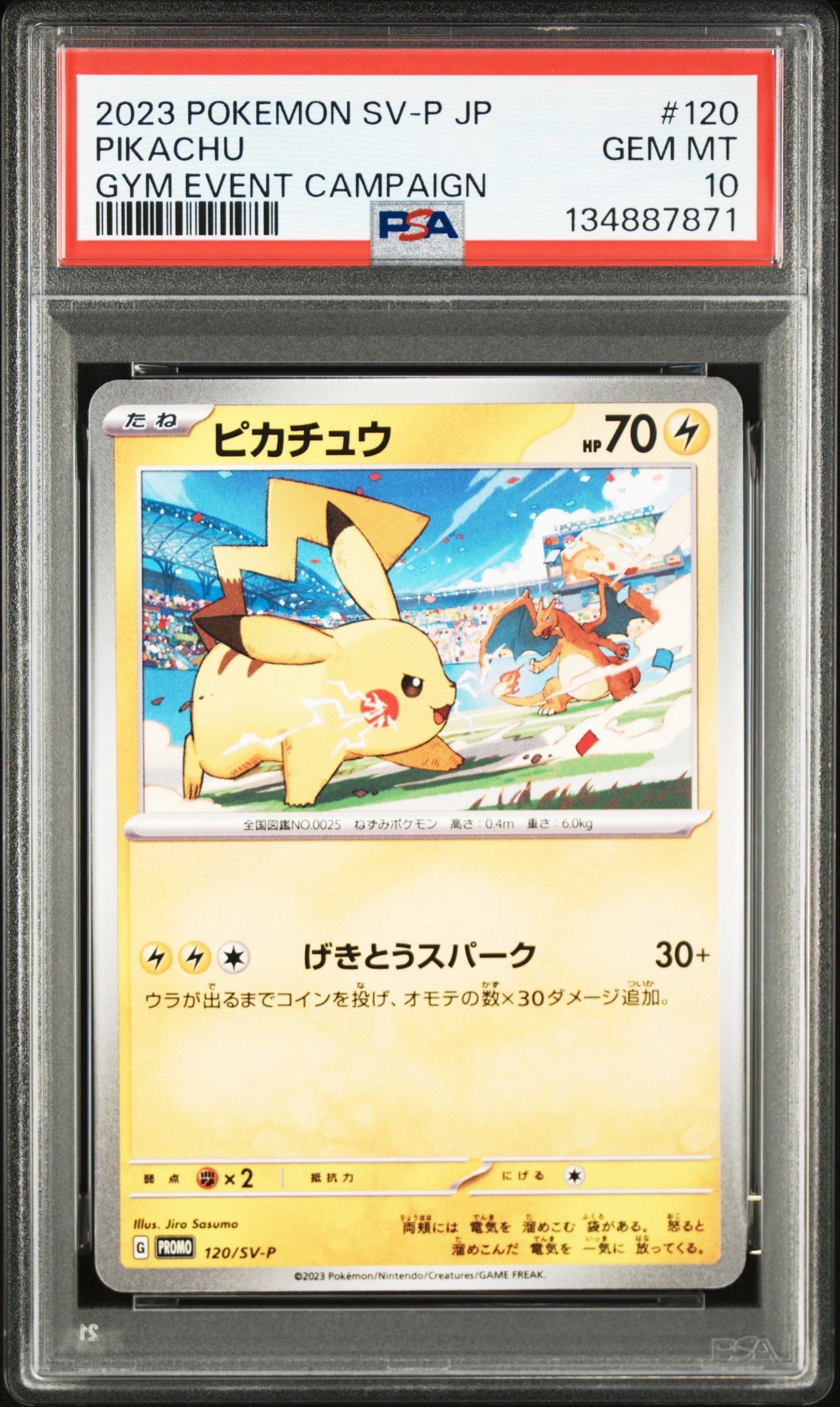 ピカチュウ PSA10 SVプロモ PSA10】 ピカチュウ 《AR仕様》 (プロモ) {218/SV-P} [SV] - magi通販
