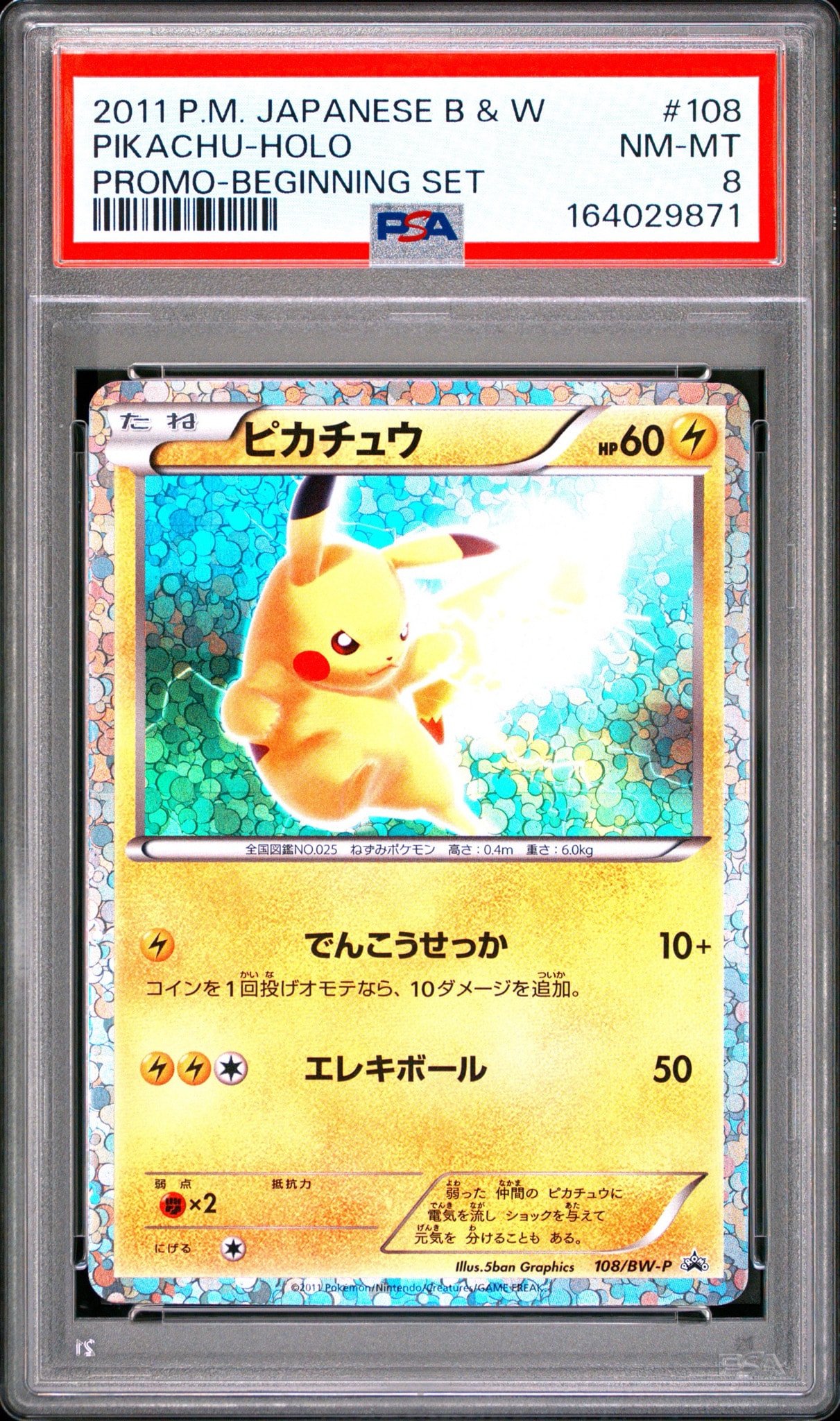 ピカチュウ P [BW-P 108/BW-P](プロモーションカード「はじめてセット