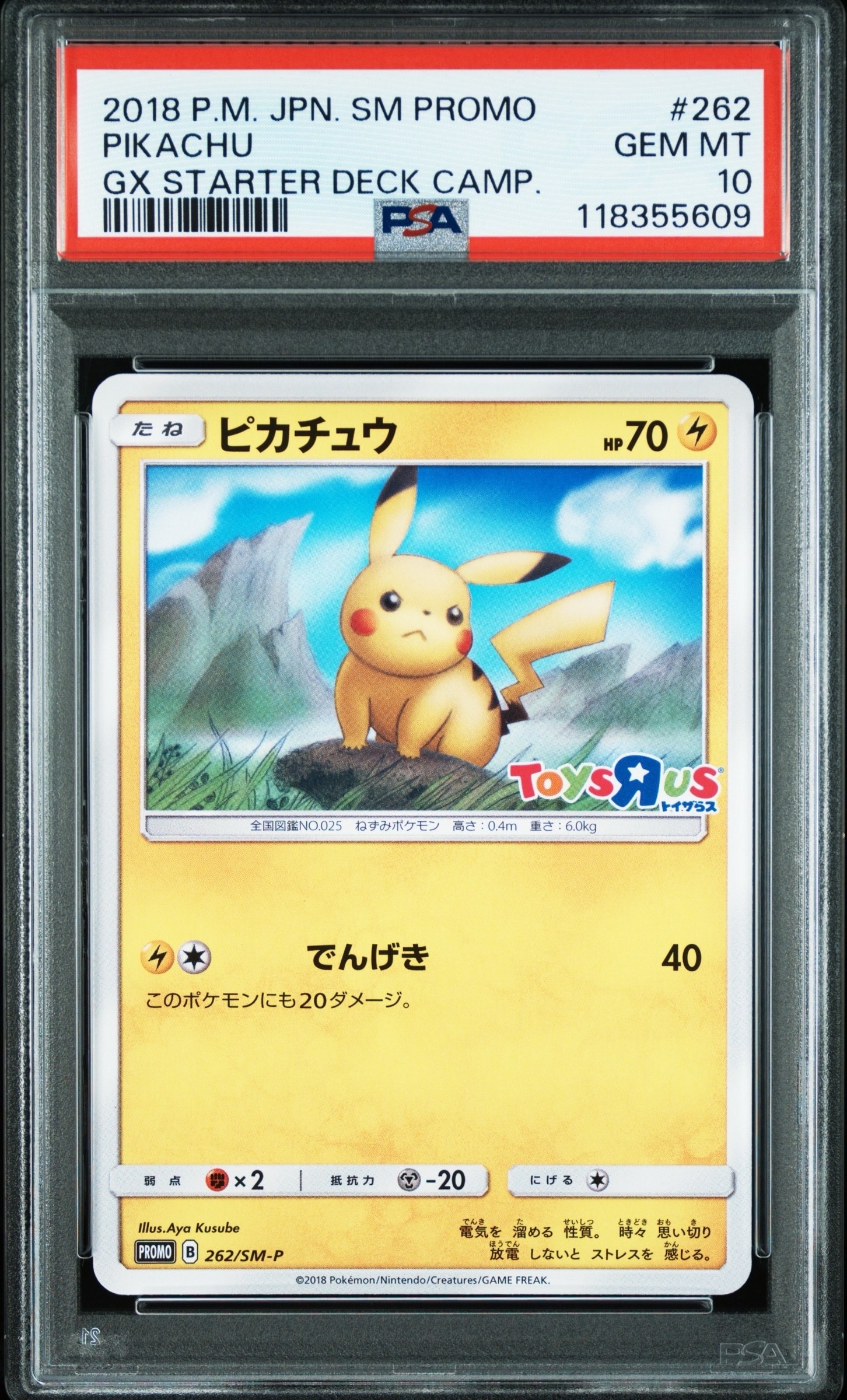 ピカチュウ: プロモ [SM-P 262](プロモーションカード「SM-P」)