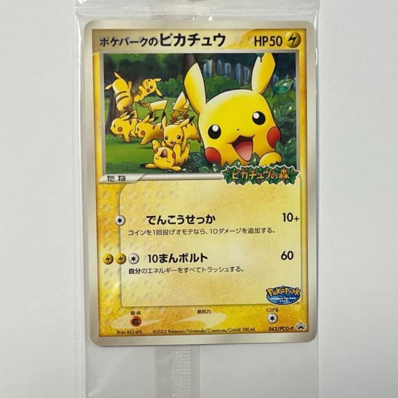ポケパークのピカチュウ P [PCG-P 043](プロモーションカード「ポケパーク ルギアのくるくるシップ」)