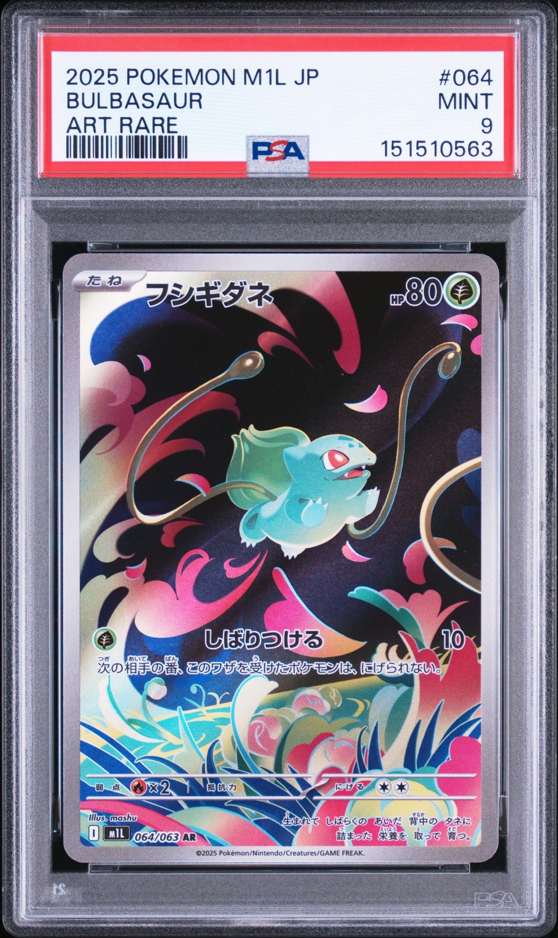 コイキング&ホエルオーGX SR: SA[SM9 099/095](拡張パック「タッグ