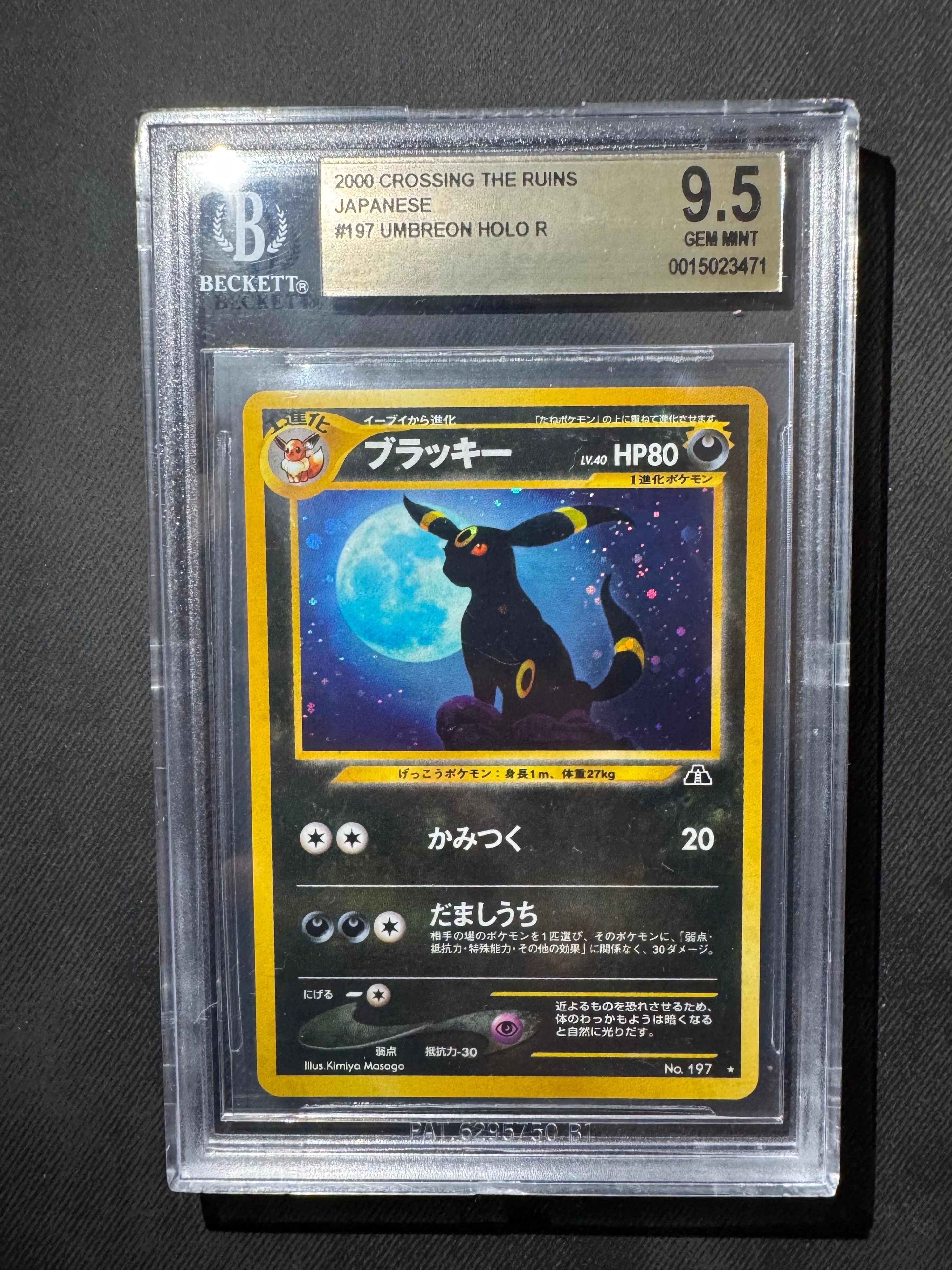 PSA10ブラッキープレミアムファイル2: 旧裏[neoP2 No.197