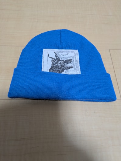 Supreme x The North Face Beanie "Blue"