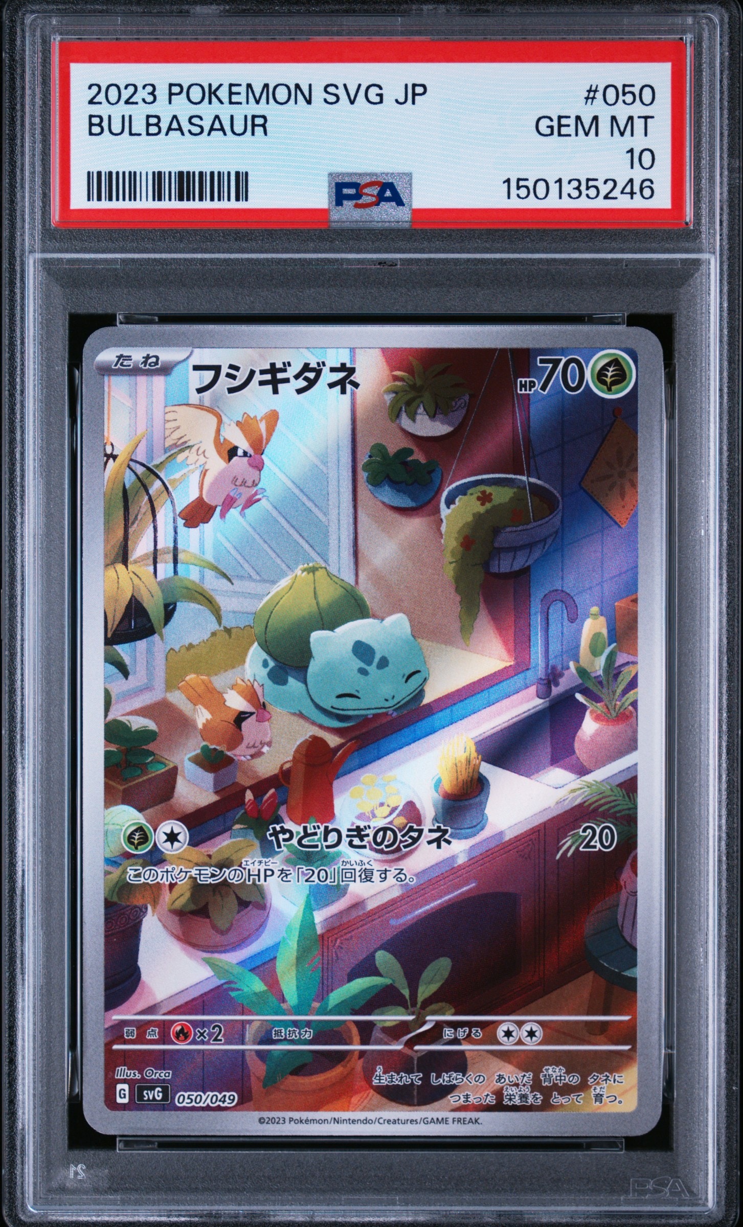 ピカチュウ C [SM9a 014/055](強化拡張パック「ナイトユニゾン」)の