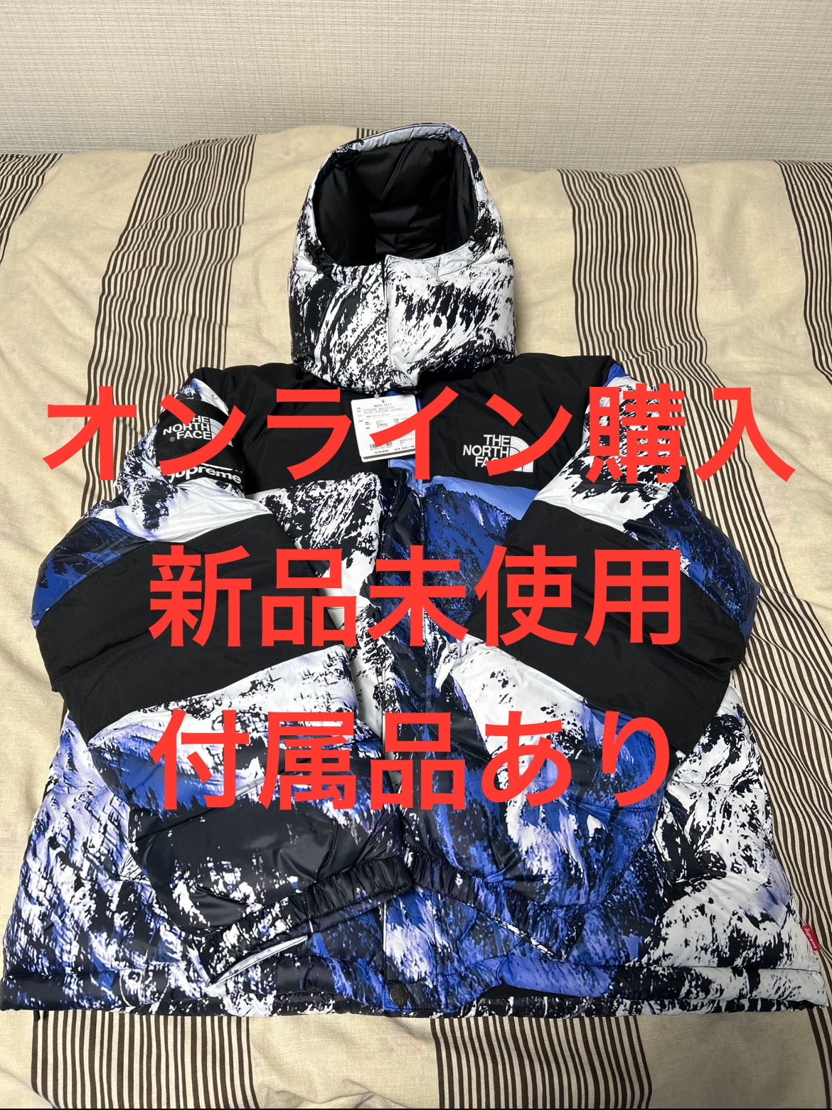 シュプリーム ザノースフェイス マウンテン バルトロ ジャケット "ブルー"