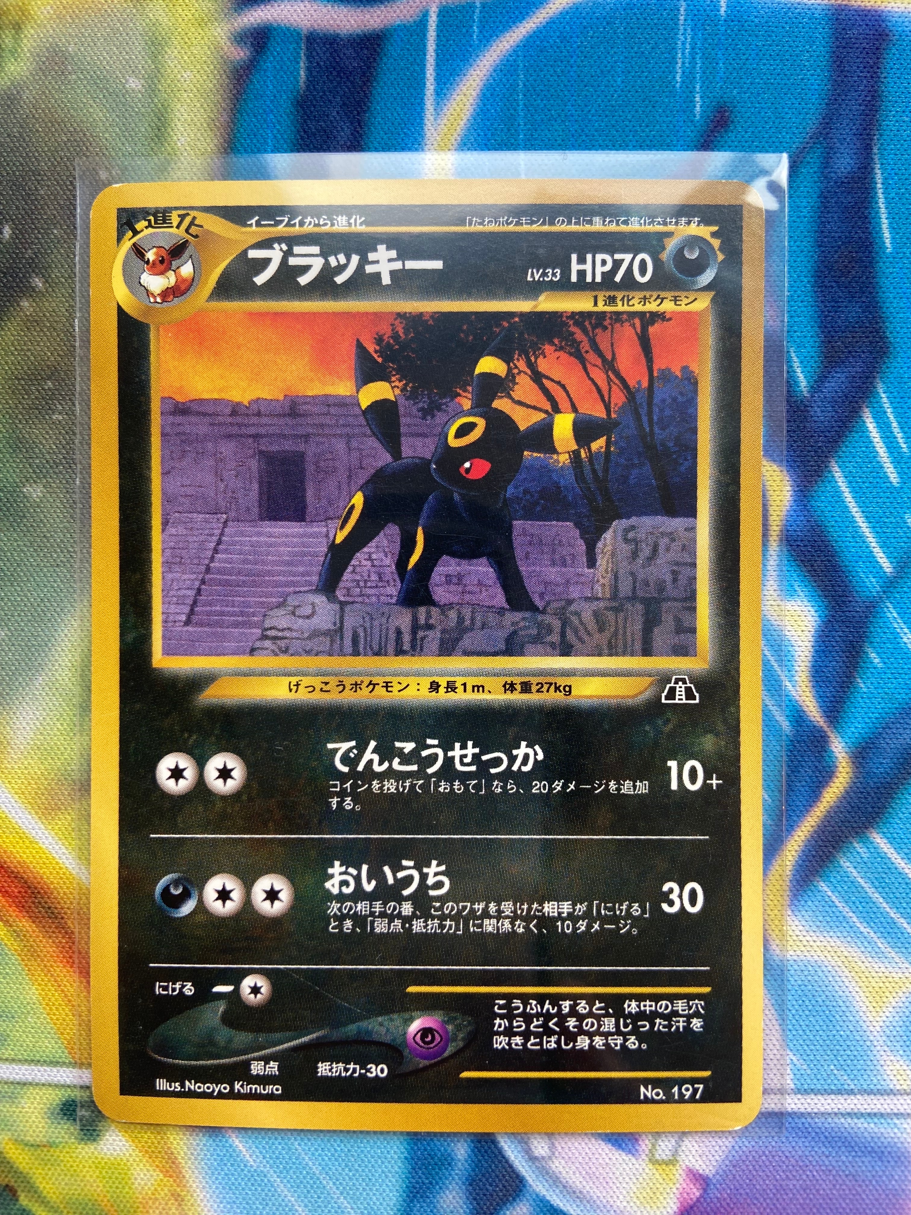 ブラッキー 旧裏 プレミアムファイル2 ★neo 遺跡をこえて 極上美品ブラッキー 旧裏 プレミアムファイル2 ☆neo 遺跡をこえて