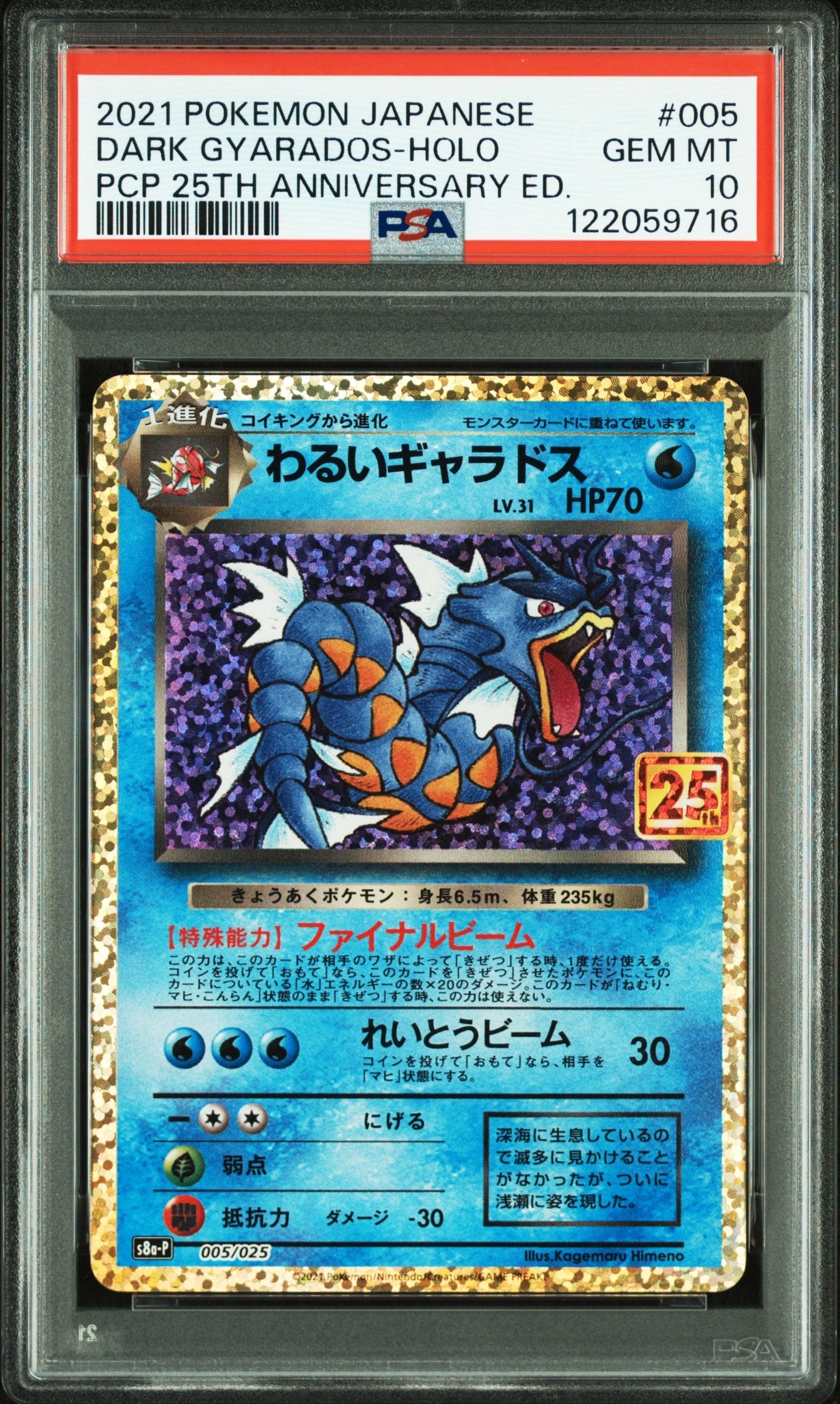 わるいギャラドス: プロモ[S8a-P 005/025](プロモカードパック 25th ANNIVERSARY edition)